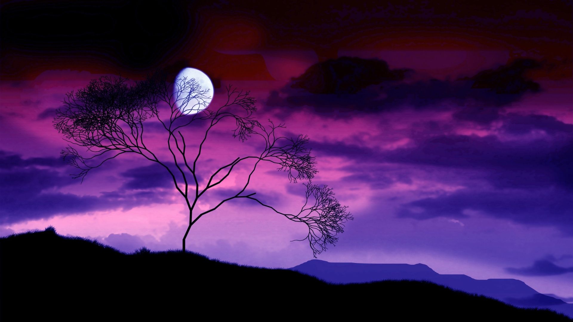 Luna piena albero silhouette, 1920x1080 Full HD, Desktop