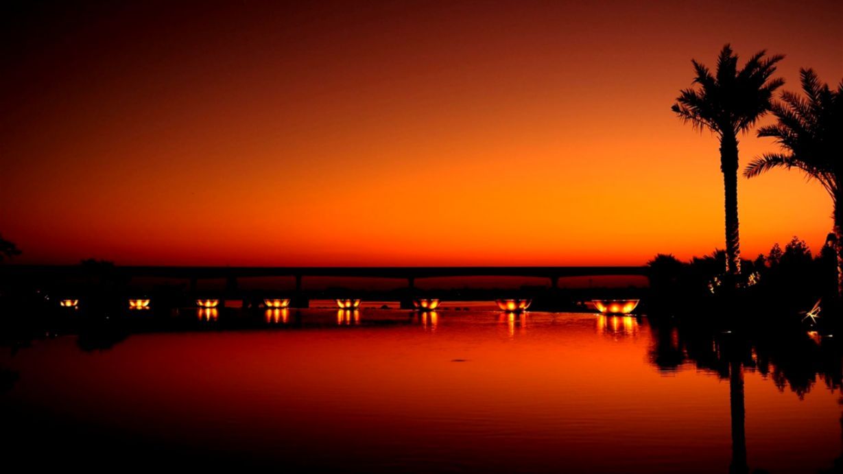 Tramonto arancione con palme, 1229x691 HD, PC Desktop