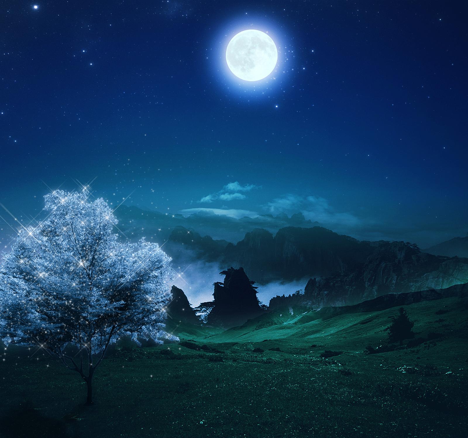 Paesaggio notturno con luna piena, 1600x1500 900p, Desktop