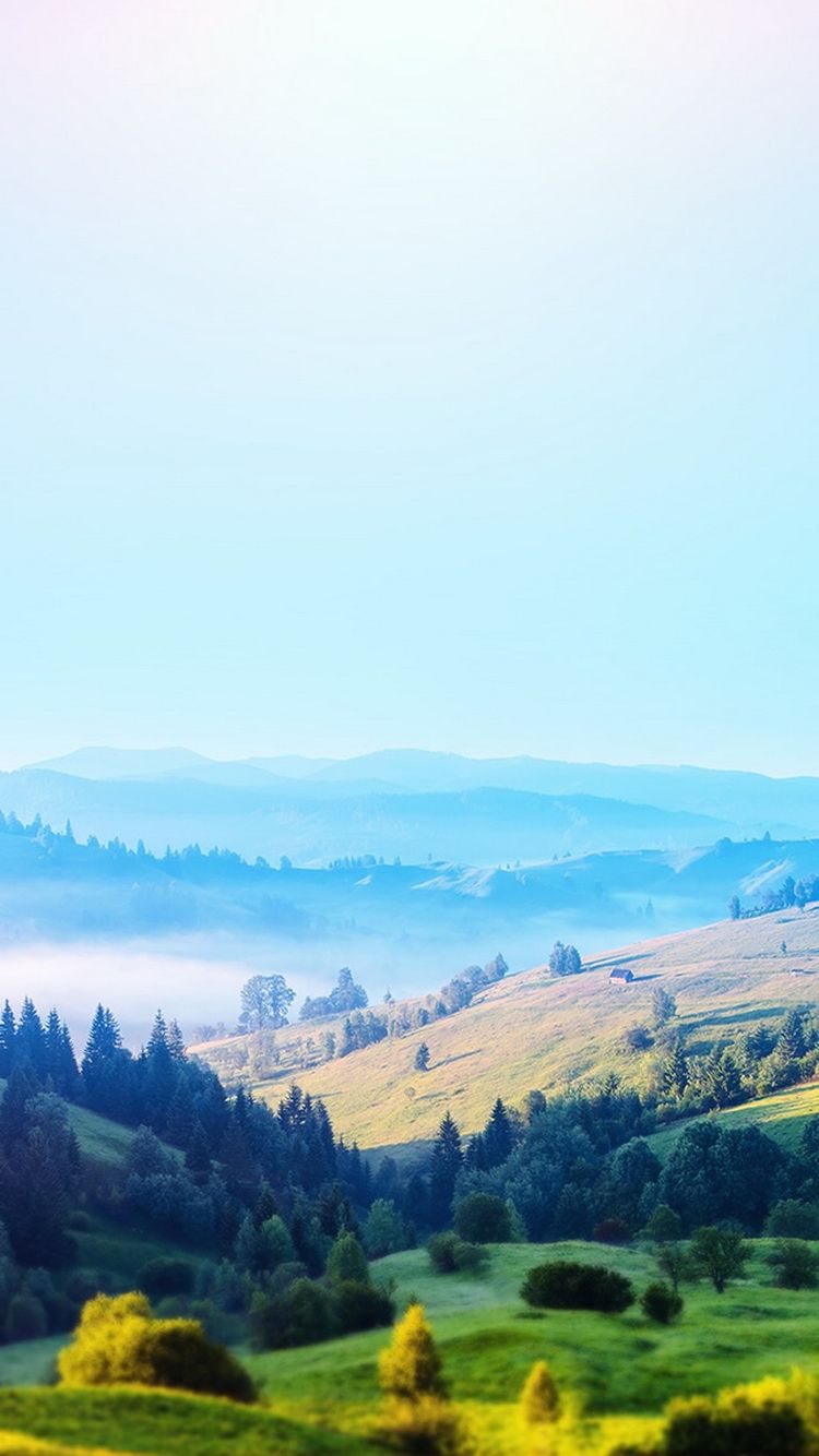 Colline verdi con nebbia mattutina, 750x1334 Verticale, iPhone Pro