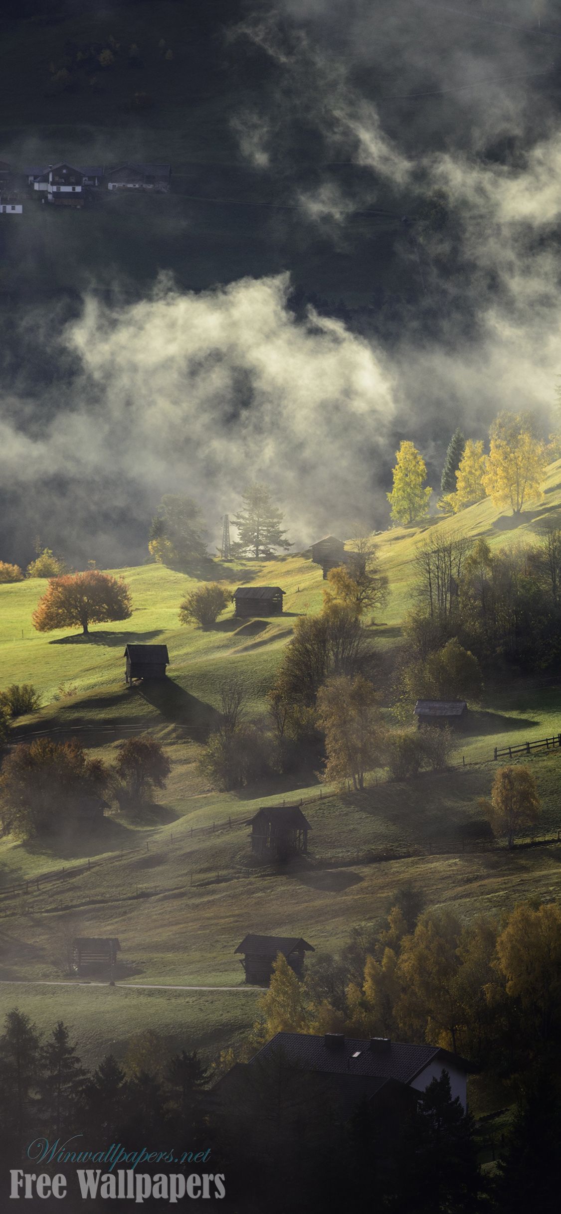 Paesaggio collinare autunnale nebbioso, 1125x2436 Verticale, iPhone Pro Max