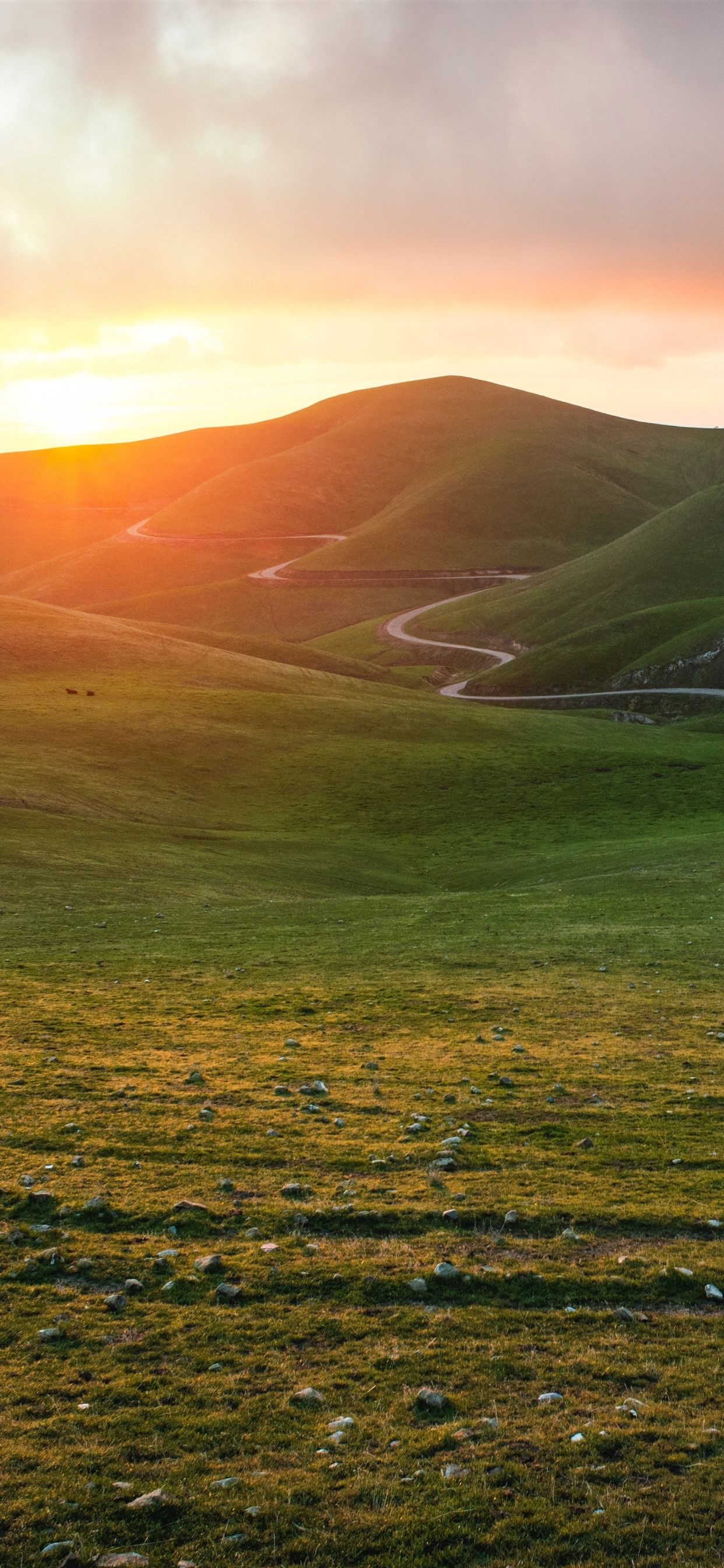 Colline verdi al tramonto, 1242x2688 Verticale, iPhone Plus
