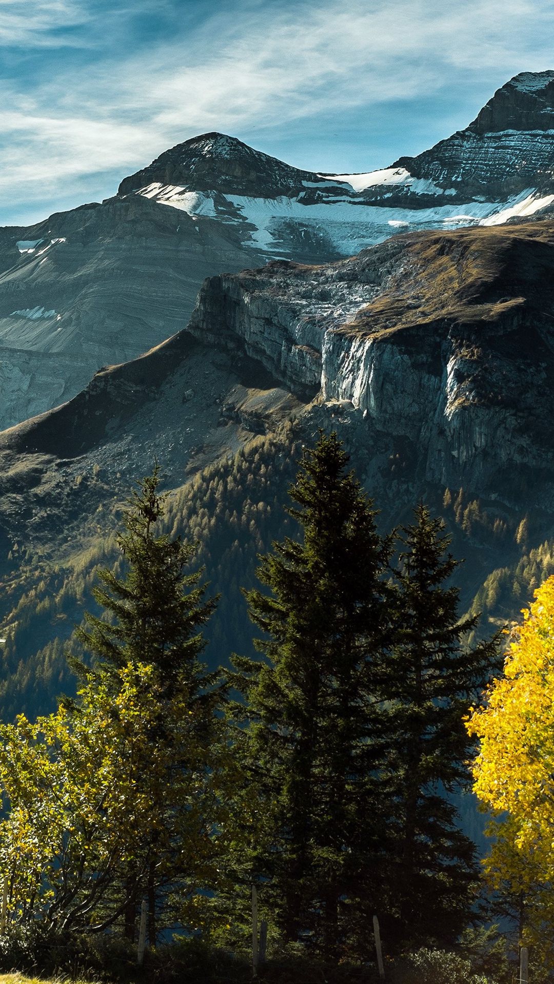 Montagne innevate e foresta, 1080x1920 Full HD Verticale, iPhone Pro Max