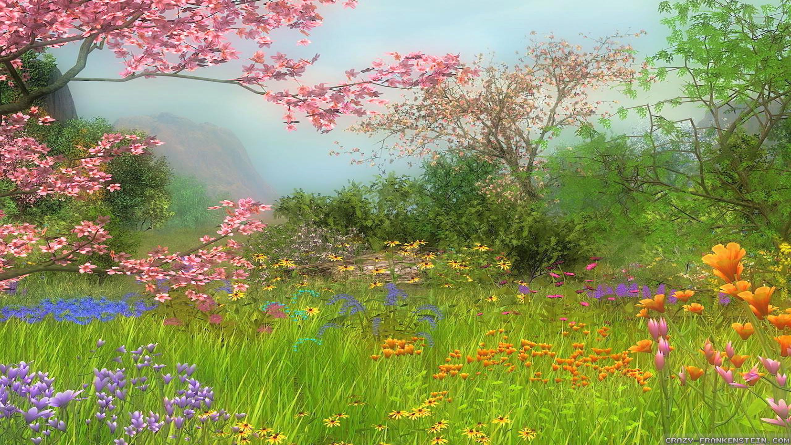 Prato fiorito primaverile con ciliegio, 2560x1440 1440p, Desktop