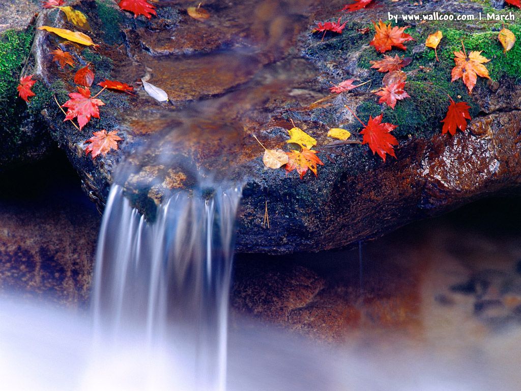 Cascata con foglie autunnali colorate, 1024x768 HD, Desktop