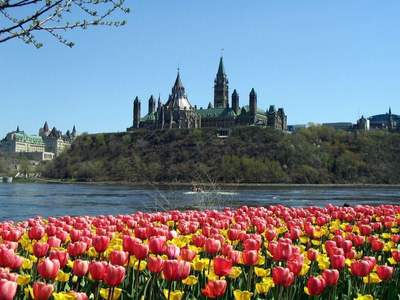 Parlamento Ottawa con tulipani, 1600x1200 900p, Laptop
