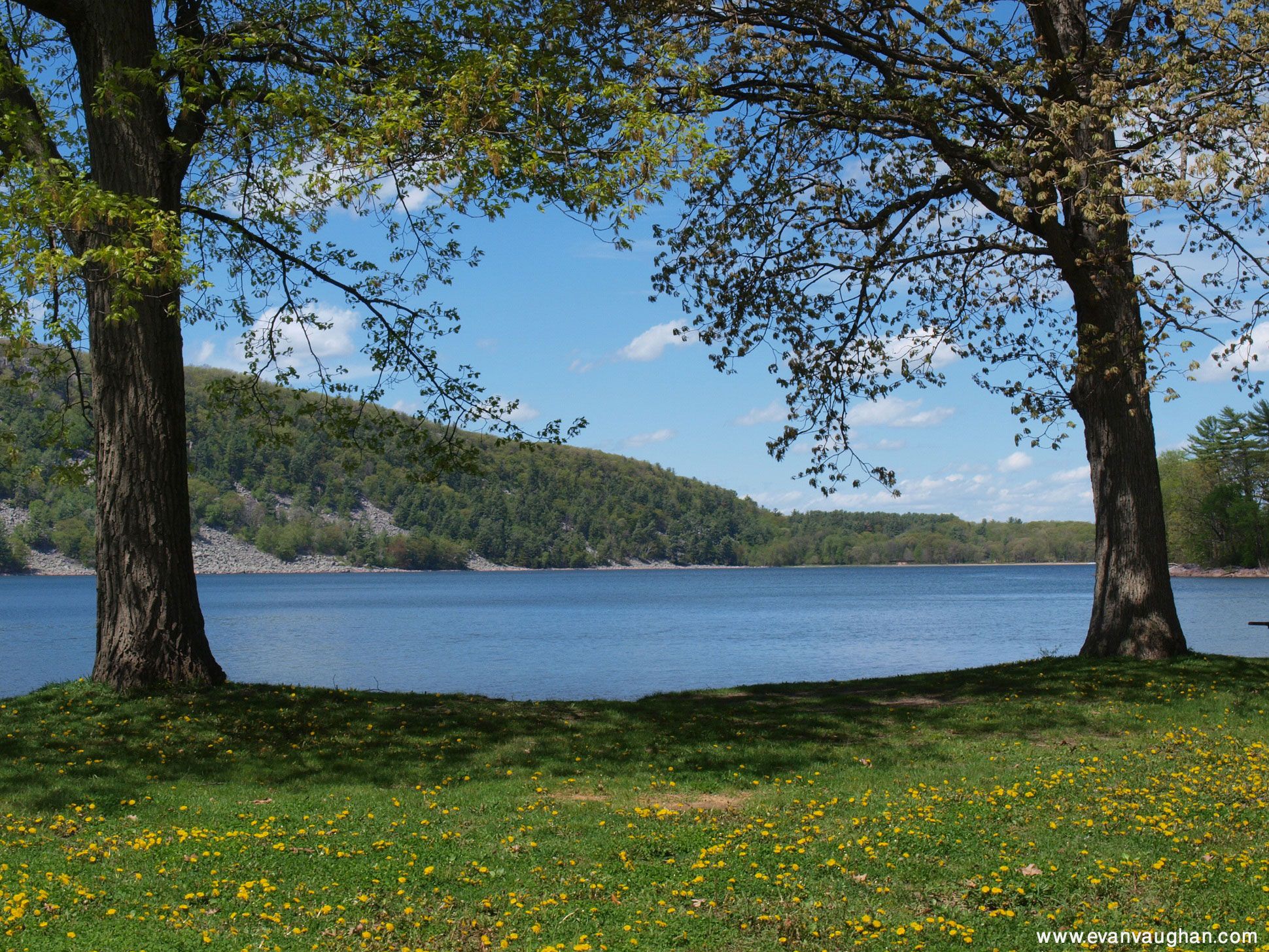 Lago tra alberi primaverili, 1940x1455 WUXGA, PC Desktop