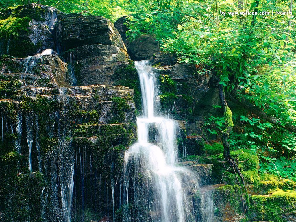 Cascata tra rocce muschiate, 1024x768 HD, Desktop