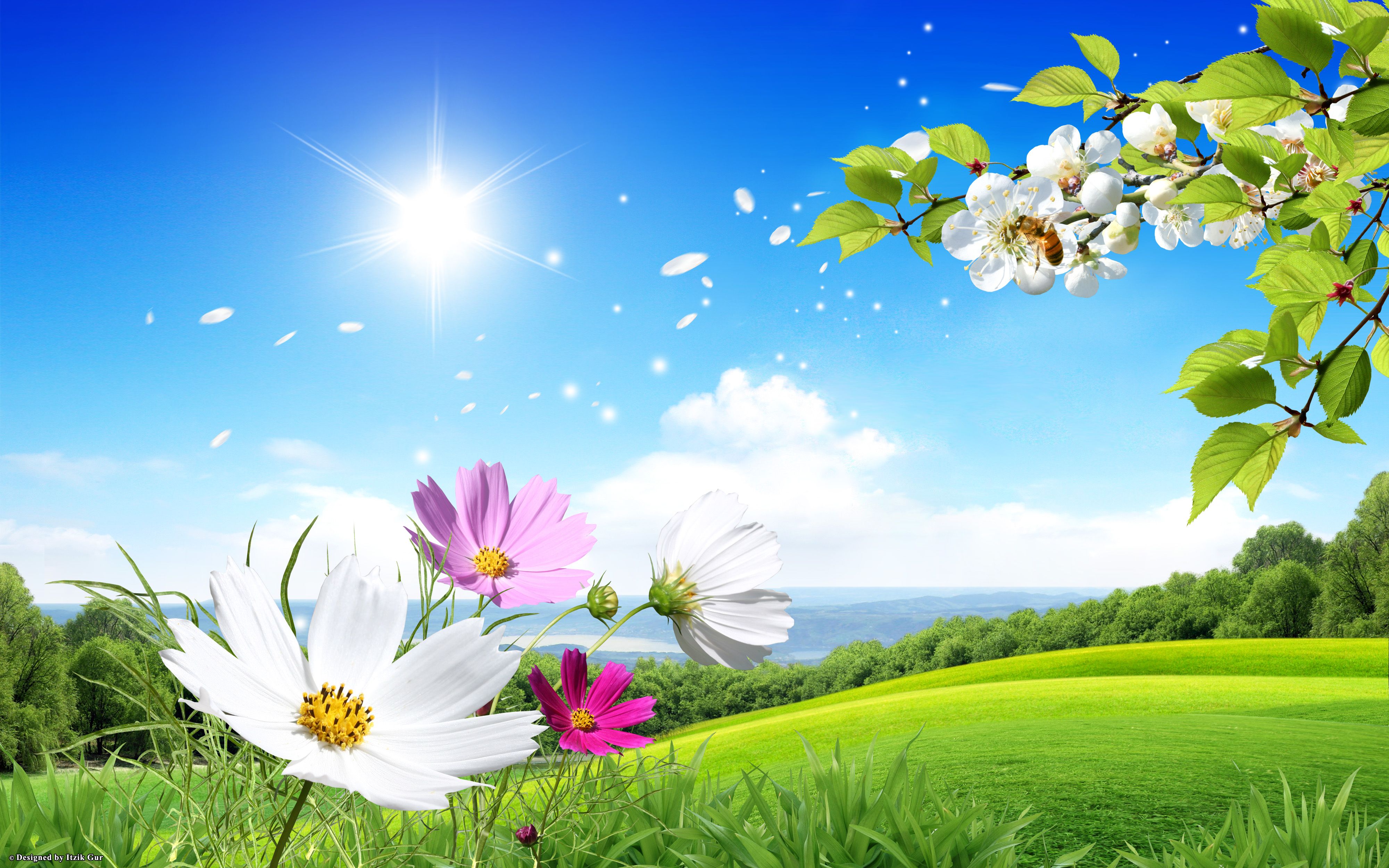 Paesaggio primaverile con fiori, 4000x2500 4K Ultra HD, Monitor 4K