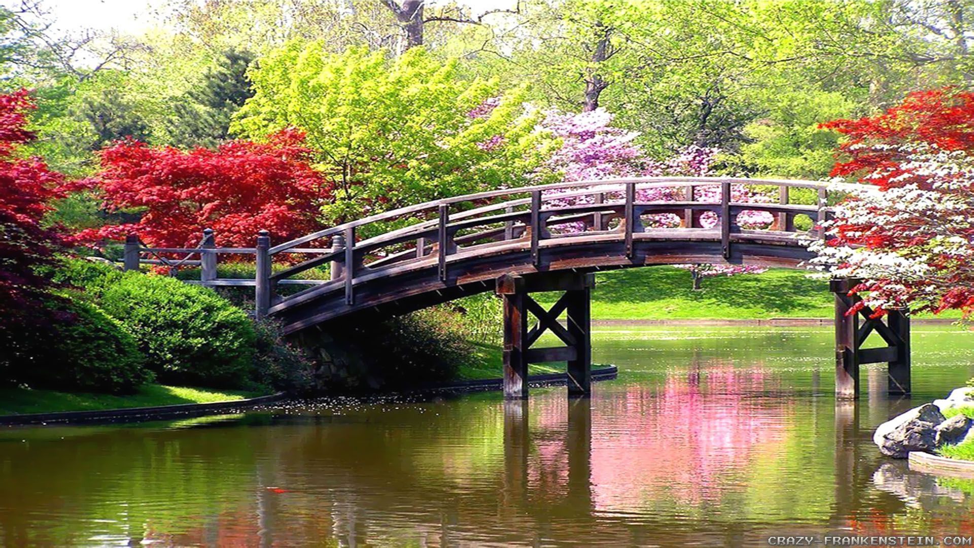 Ponte di legno su laghetto primaverile, 1920x1080 Full HD 1080p, Desktop