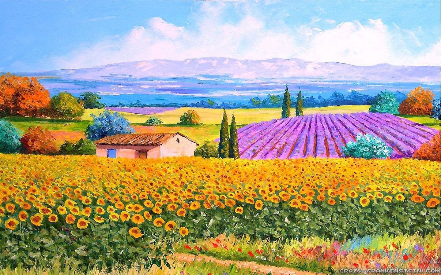 Campo girasoli e lavanda, 1440x900 720p, Laptop