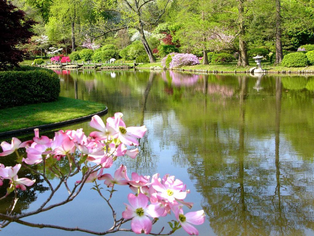 Giardino primaverile con laghetto, 1024x768 HD, Desktop