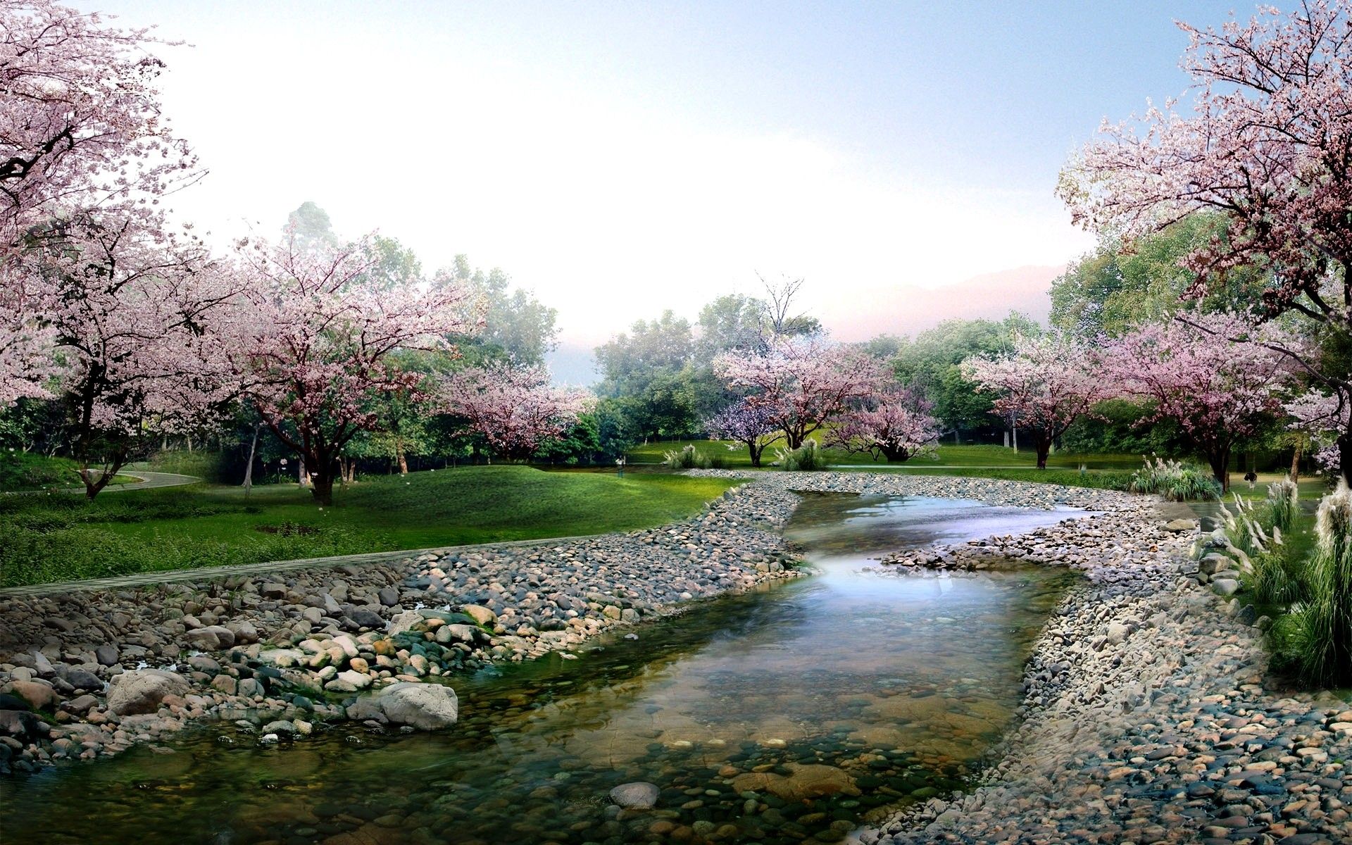 Ruscello con alberi in fiore, 1920x1200 Full HD+, PC Desktop