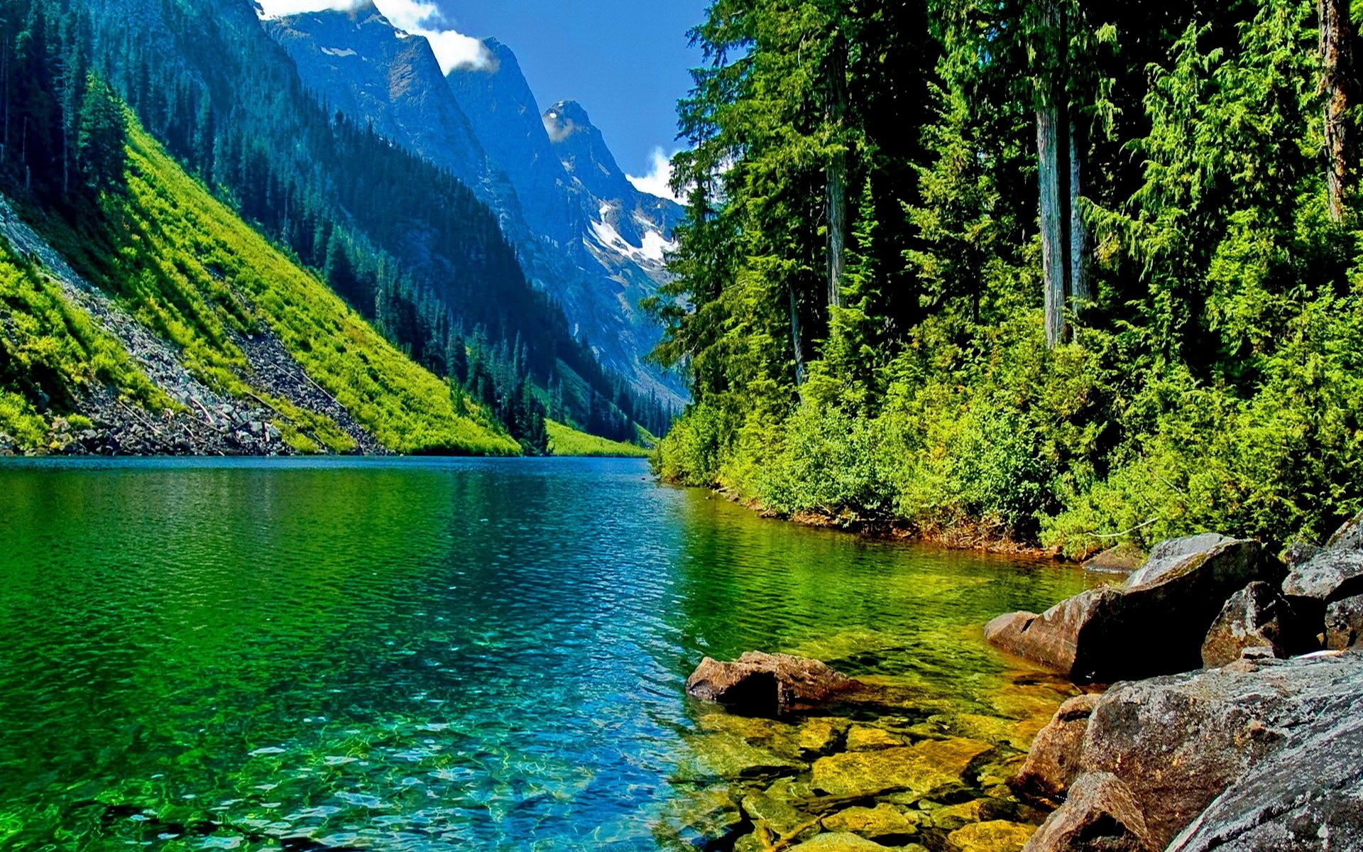 Lago montano con foresta verde, 1920x1200 WUXGA, PC Desktop