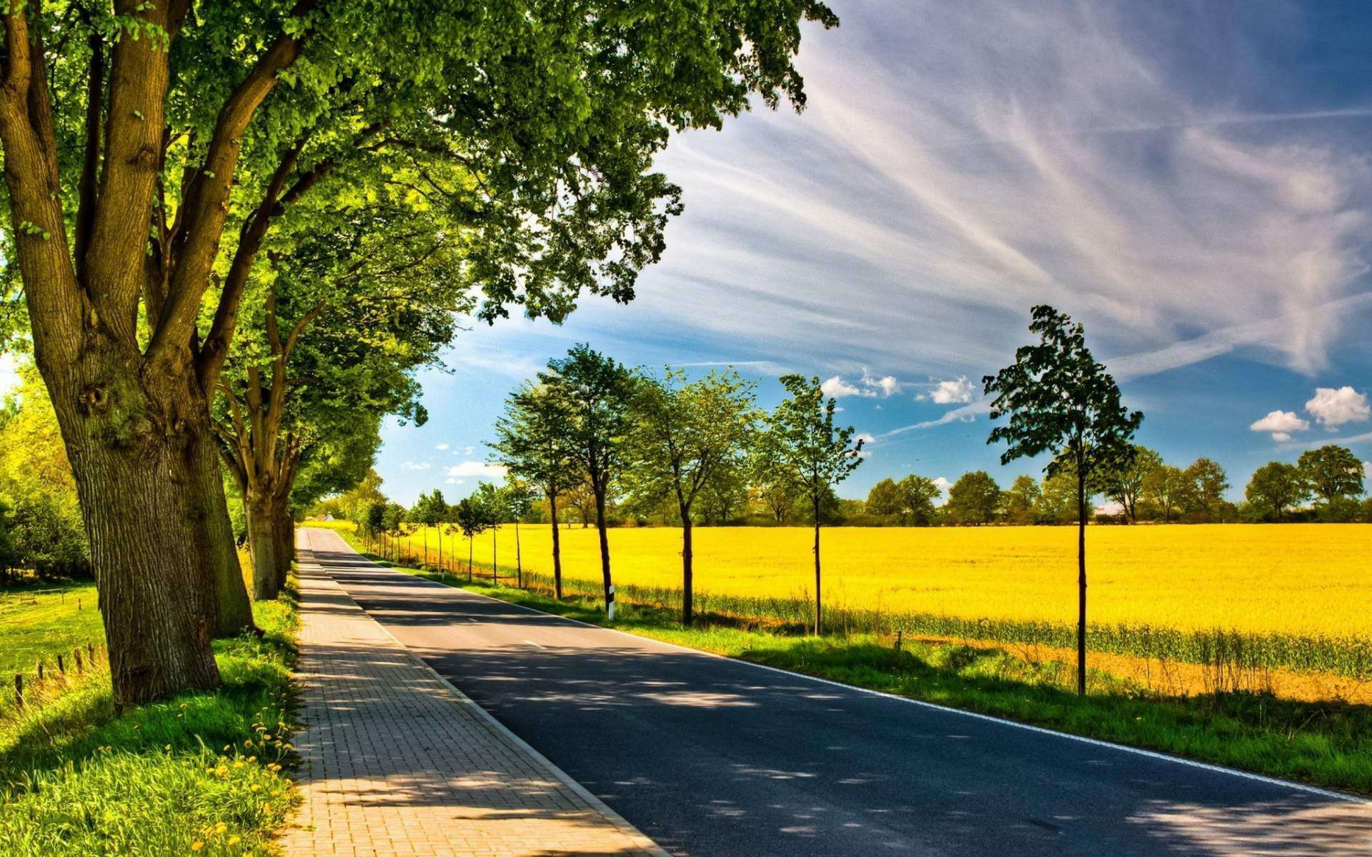 Strada di campagna con alberi, 1920x1200 Full HD+ WUXGA, Laptop