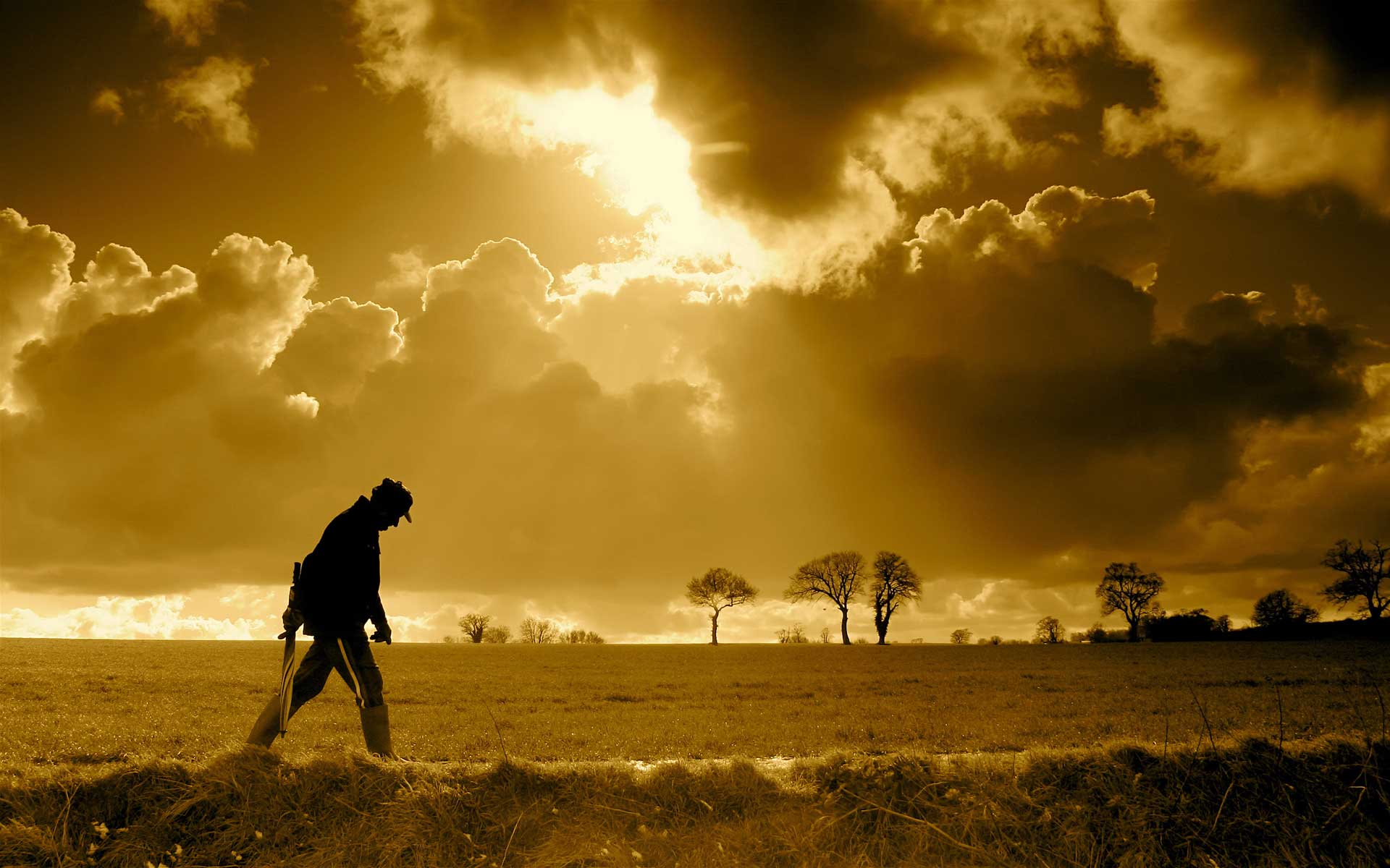Uomo solitario campo tramonto, 1920x1200 Full HD+ WUXGA, PC Desktop
