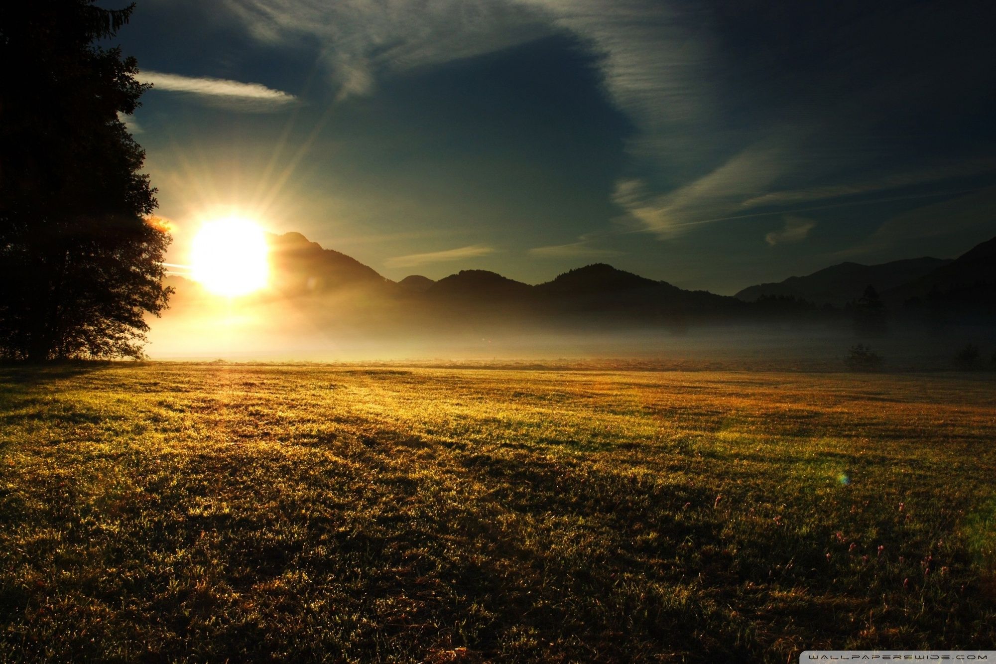 Tramonto su prato nebbioso, 2000x1333 alta risoluzione, Laptop