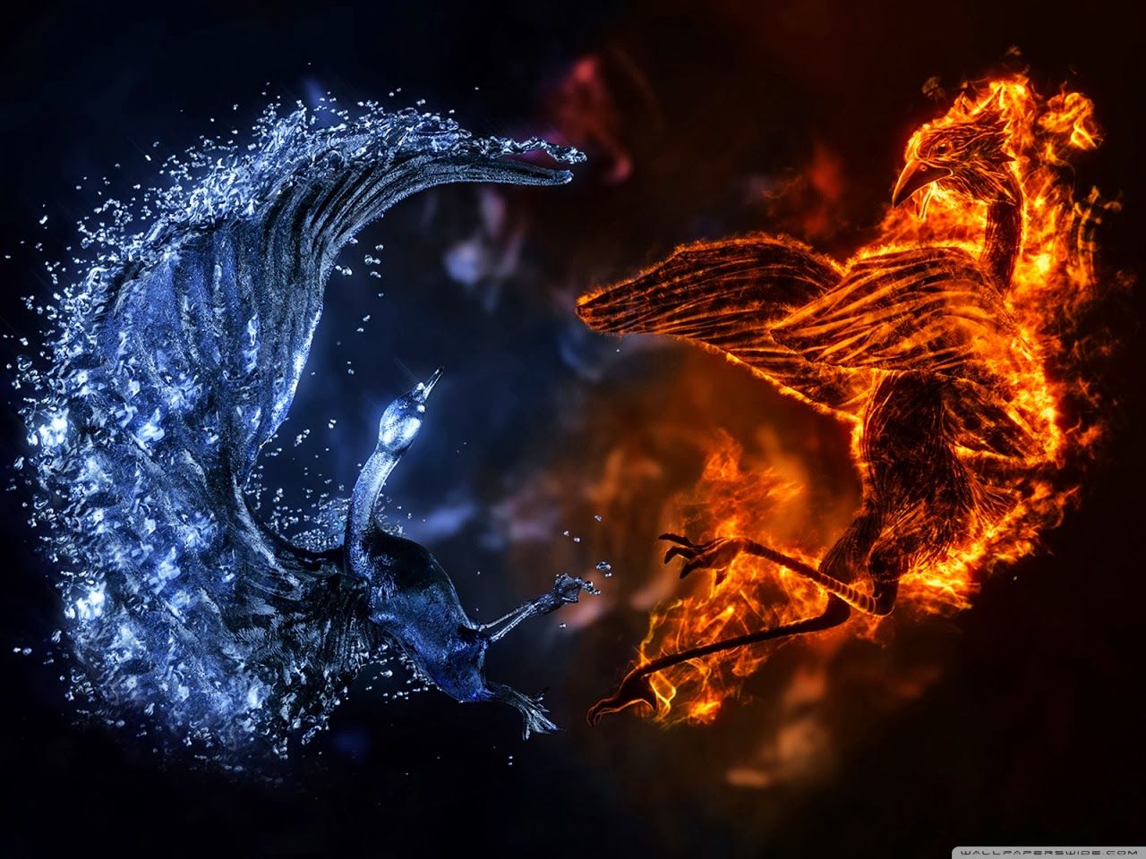 Fenici acqua e fuoco, 1280x960 720p, Laptop