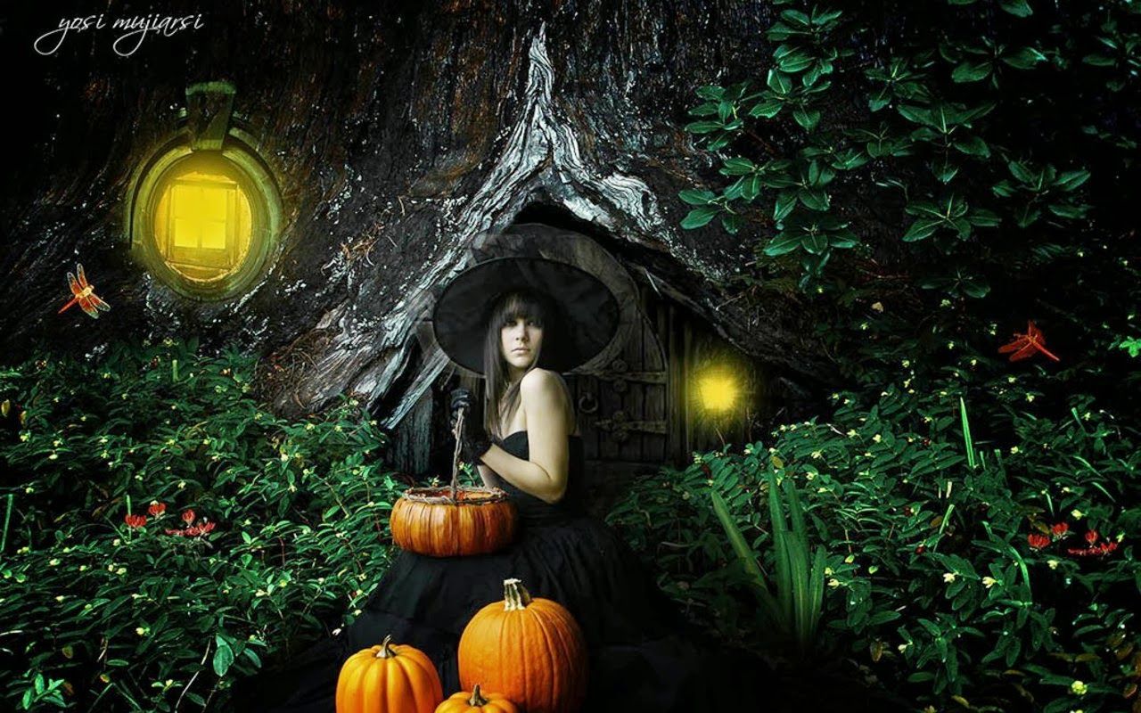 Strega con zucche nel bosco, 1280x800 HD, Desktop