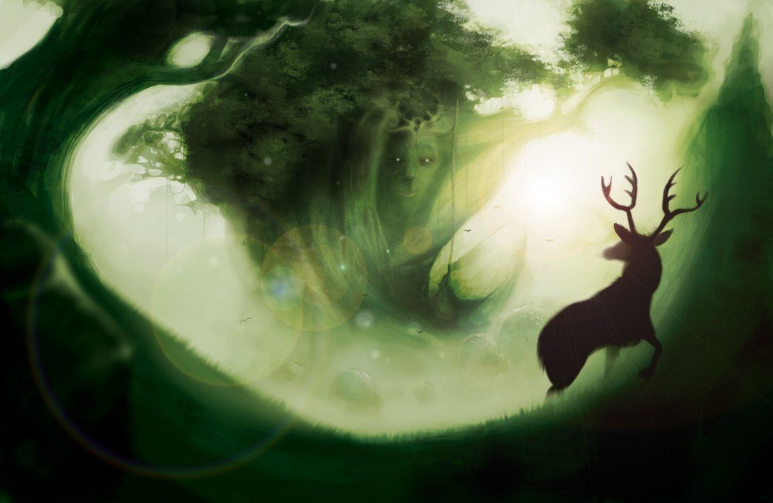 Cervo silhouette foresta verde, 1109x721 HD, PC Desktop