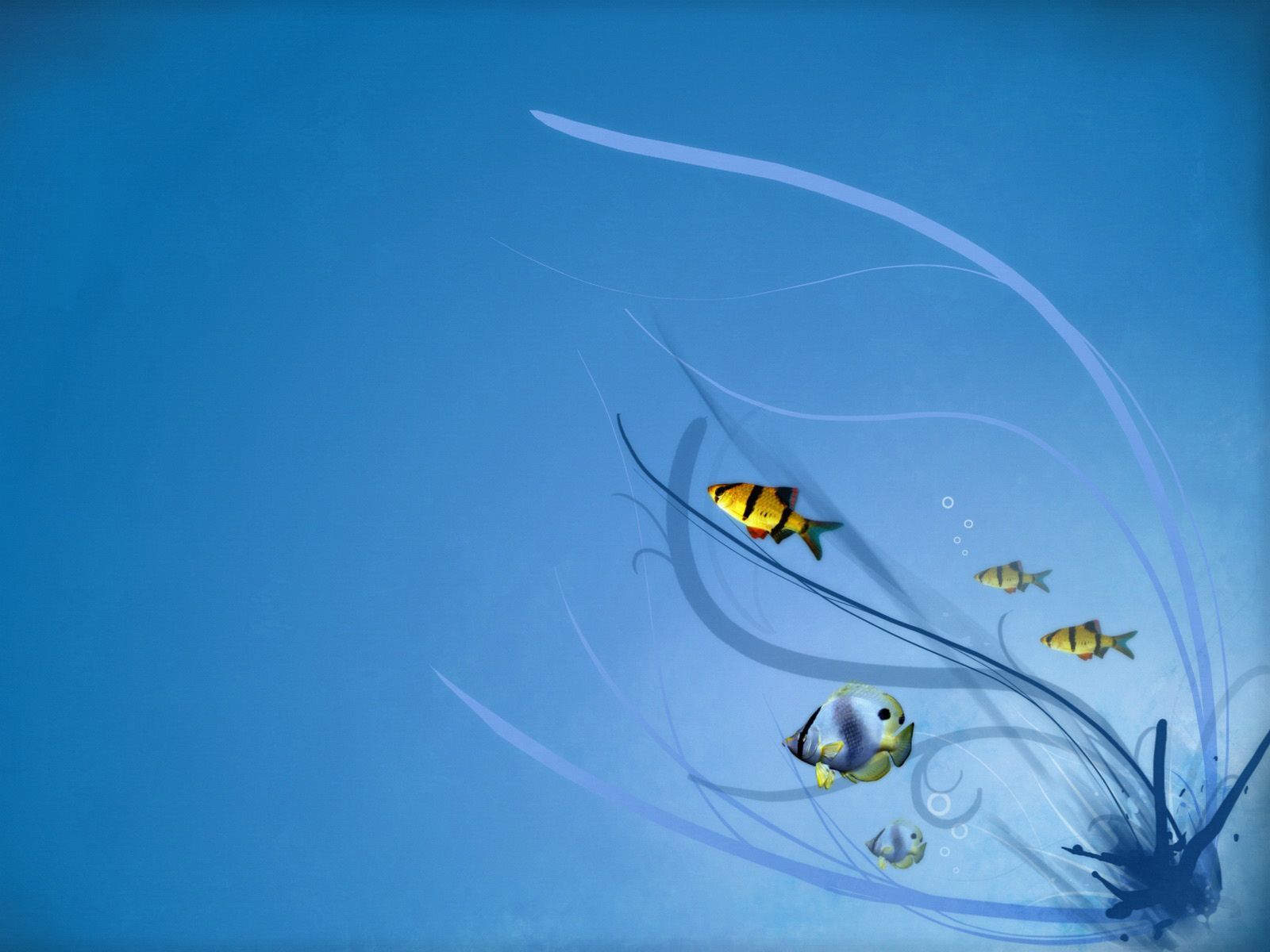 Pesce pagliaccio tra anemoni verdi, 2560x1600 WQXGA, MacBook Pro