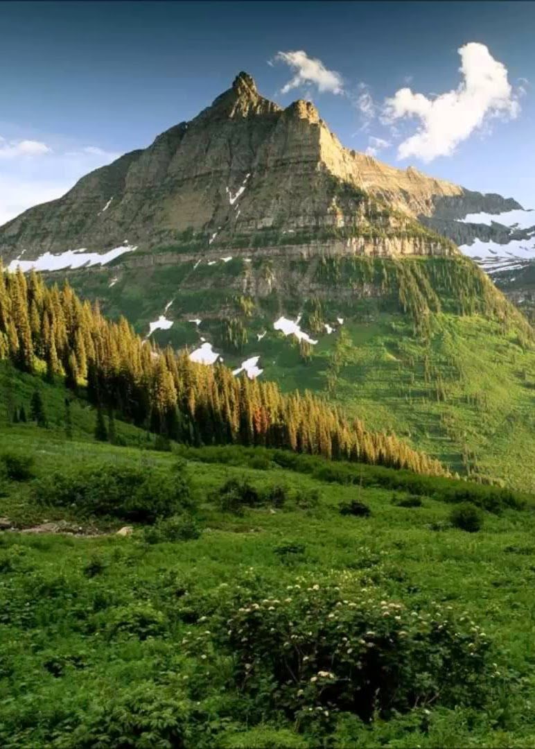 Montagna verde valle Pakistan, 772x1080 Verticale, iPhone Pro Max
