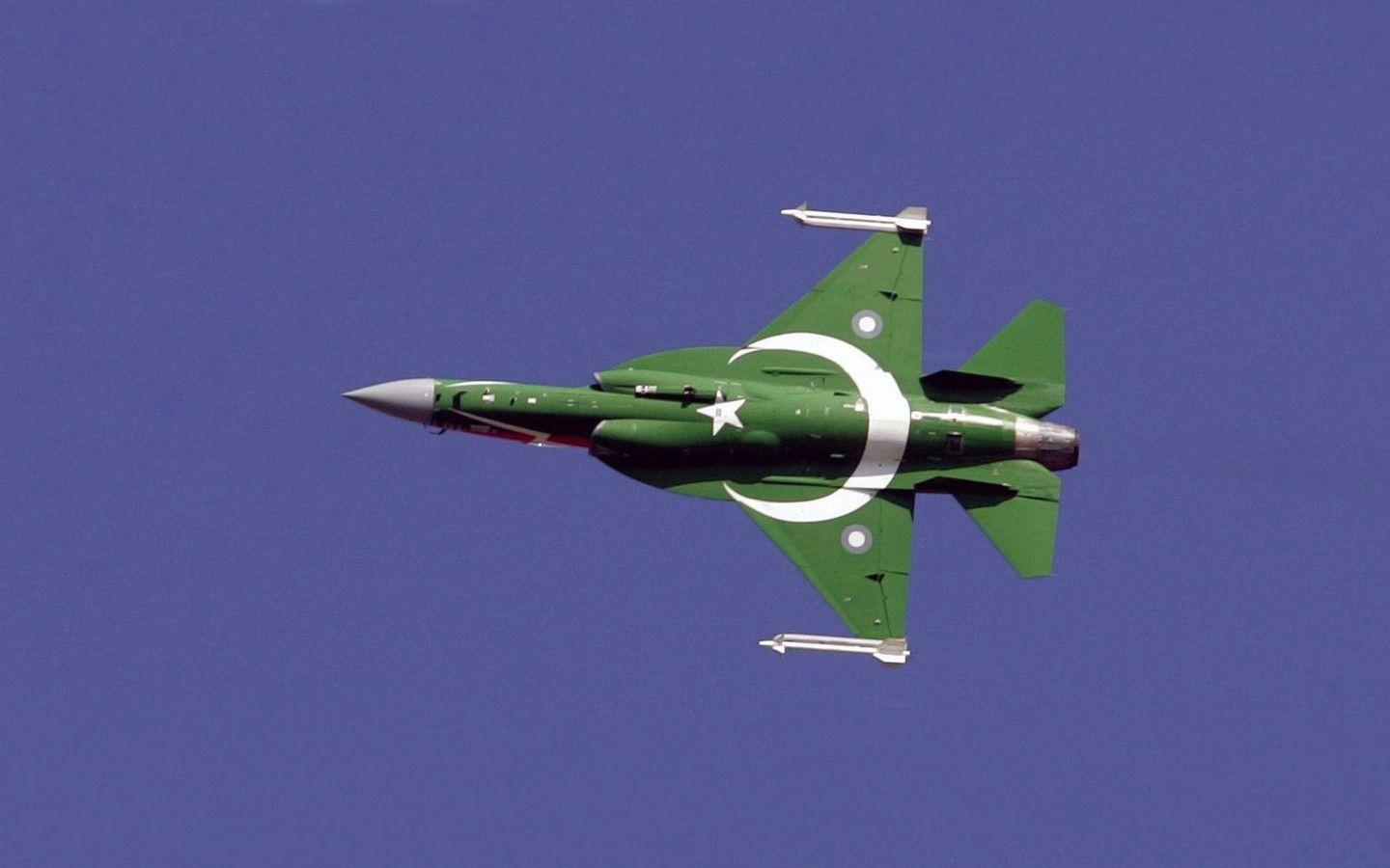 Impronta digitale bandiera Pakistan, 1573x2488 Full HD Verticale, iPhone Pro Max