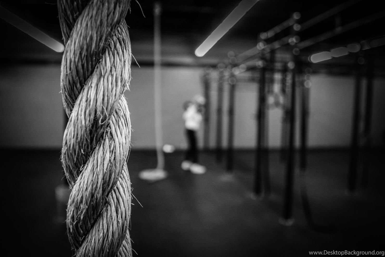 Corda palestra bianco e nero, 1600x1067 HD, PC