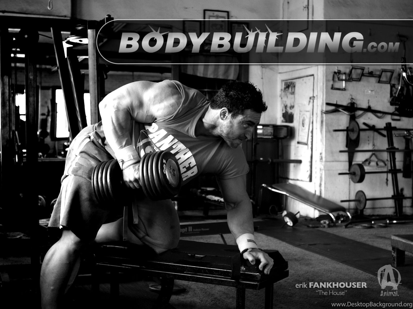 Bodybuilding.com uomo palestra, 1600x1200 900p, Desktop