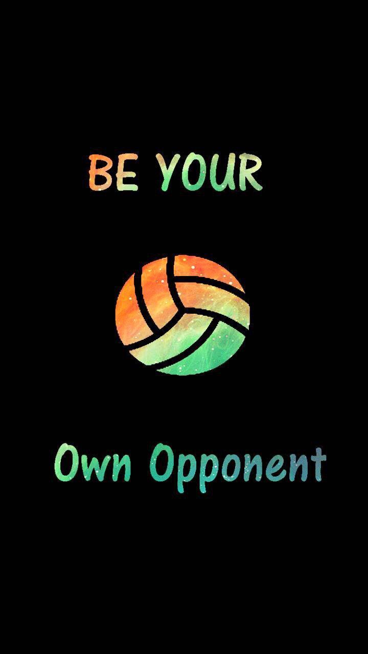 Pallavolo, silhouette giocatore, rete, 1024x768 HD, PC