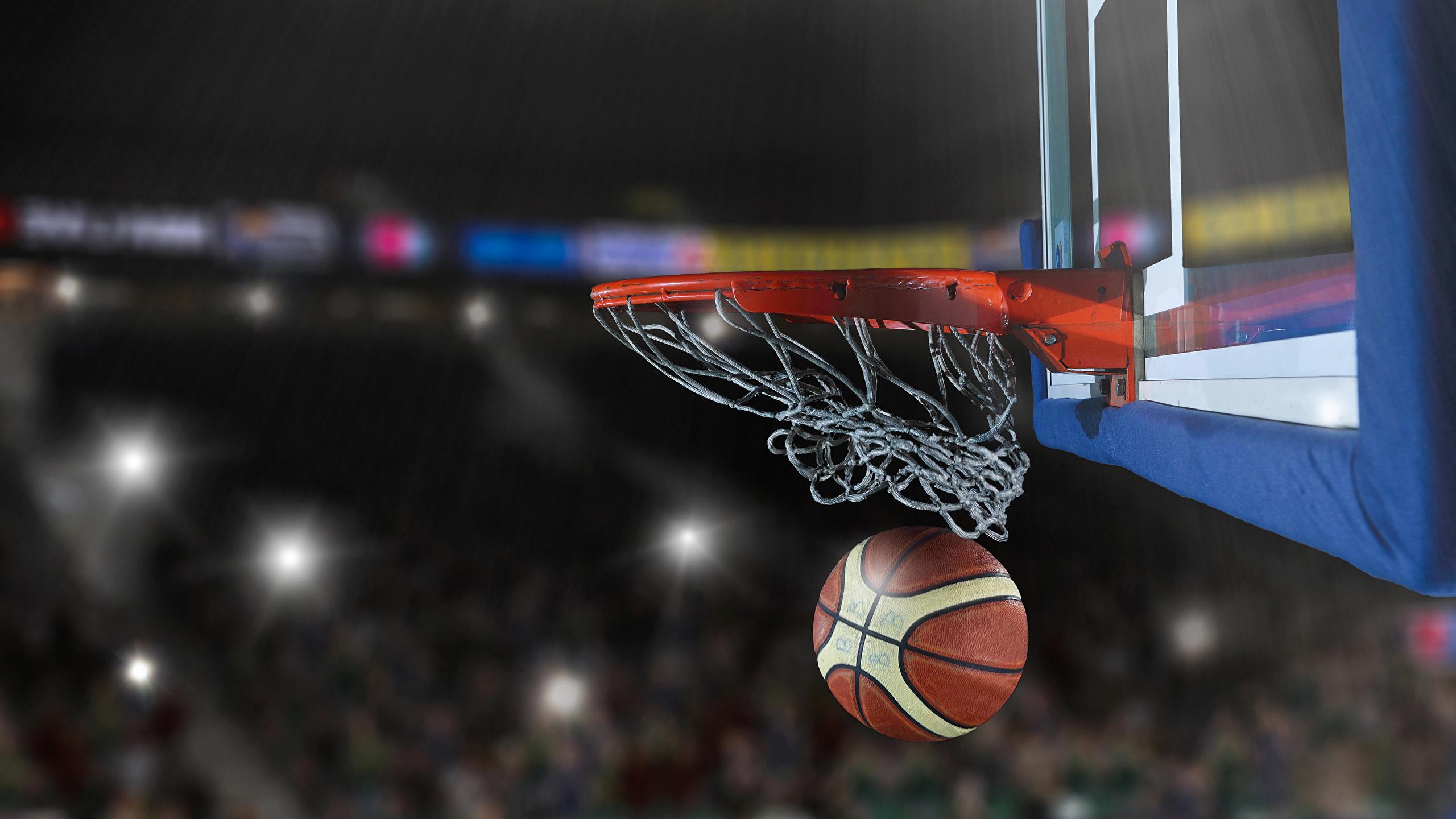 Pallone da basket nel canestro, 2560x1440 QHD, Laptop