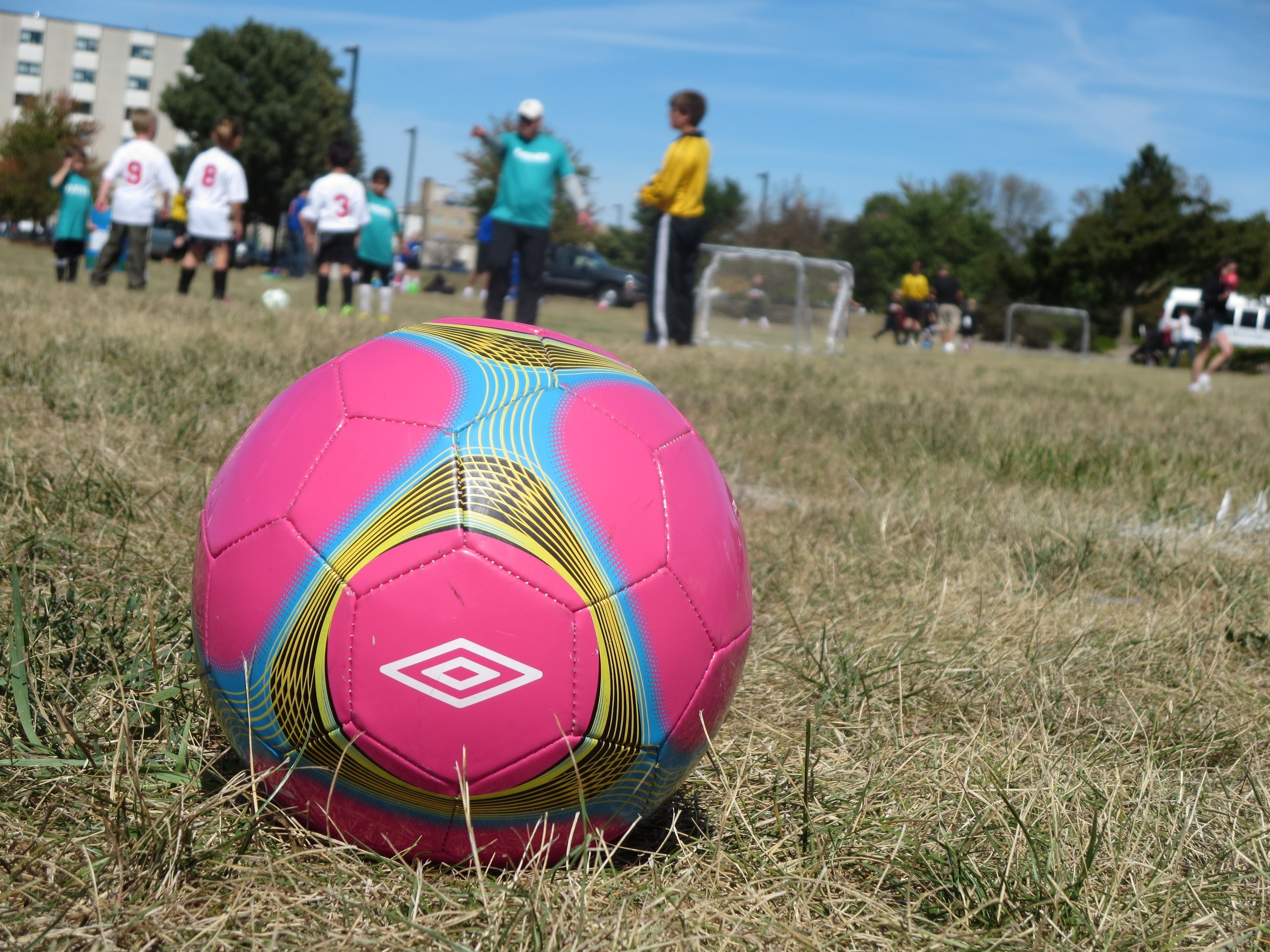 Pallone da Calcio Rosa, 1024x1024 HD, Desktop