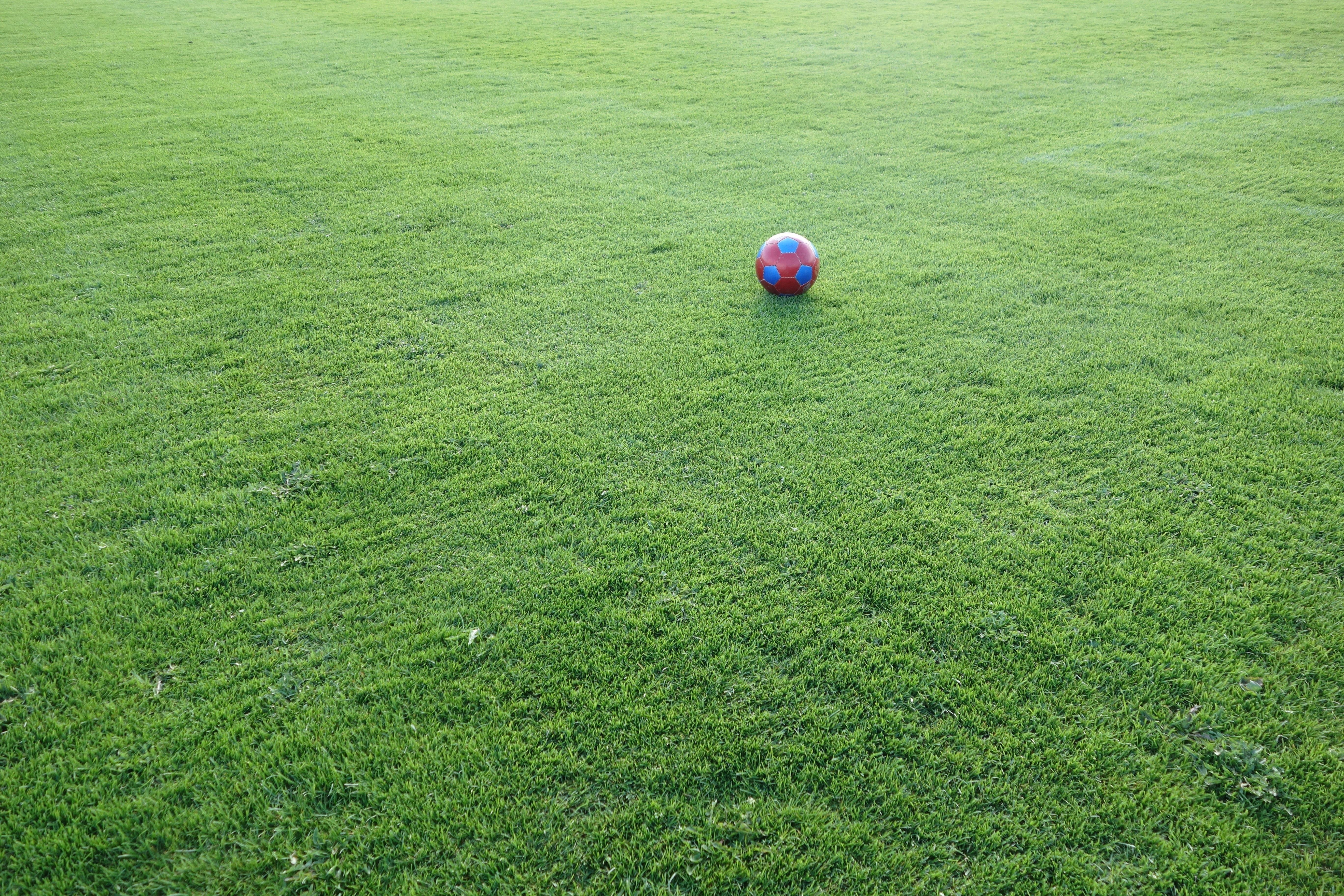 Pallone da Calcio Rosa, 1600x900 HD, PC
