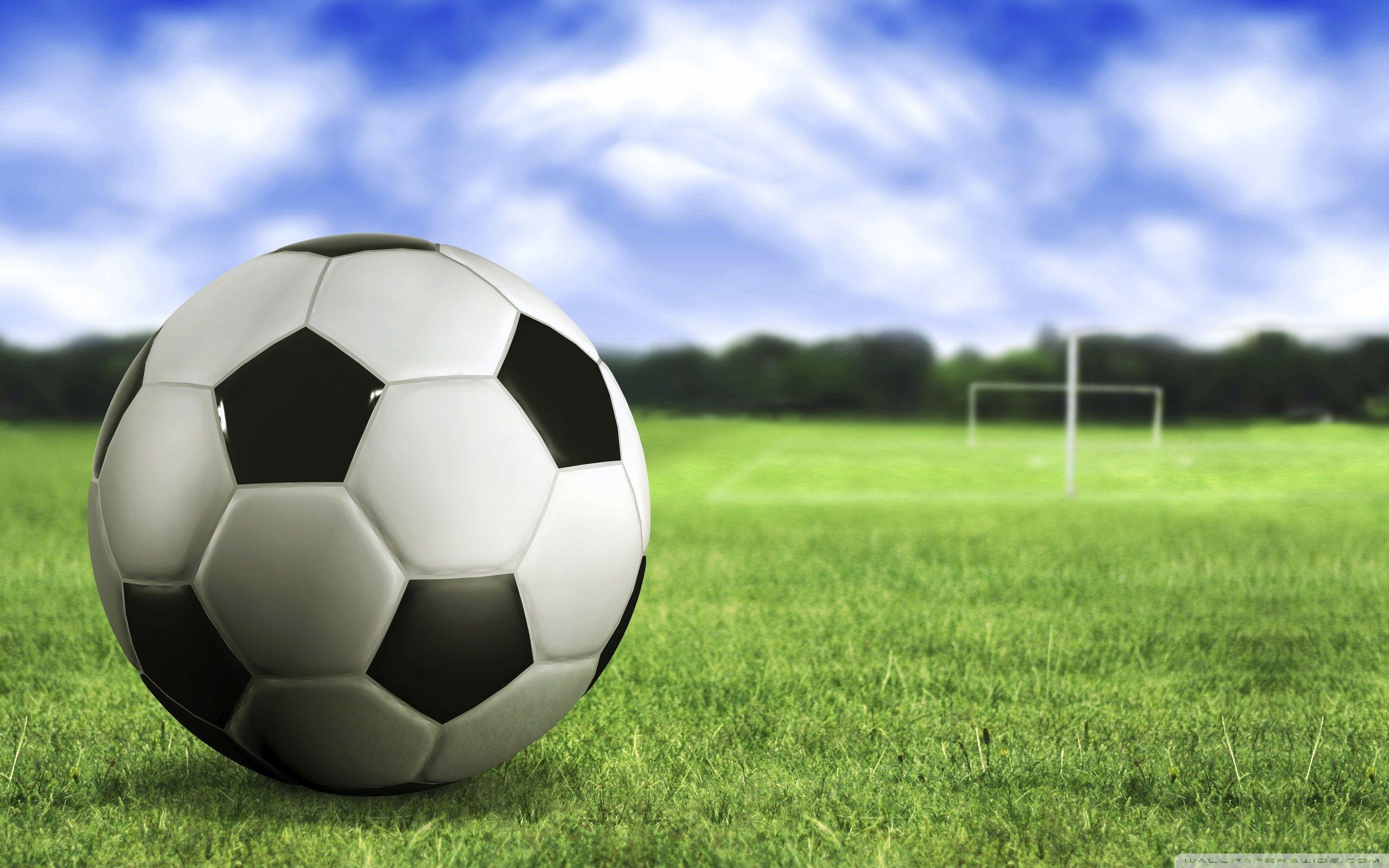 Palloni sportivi vari cerchi, 921x921 HD, Desktop