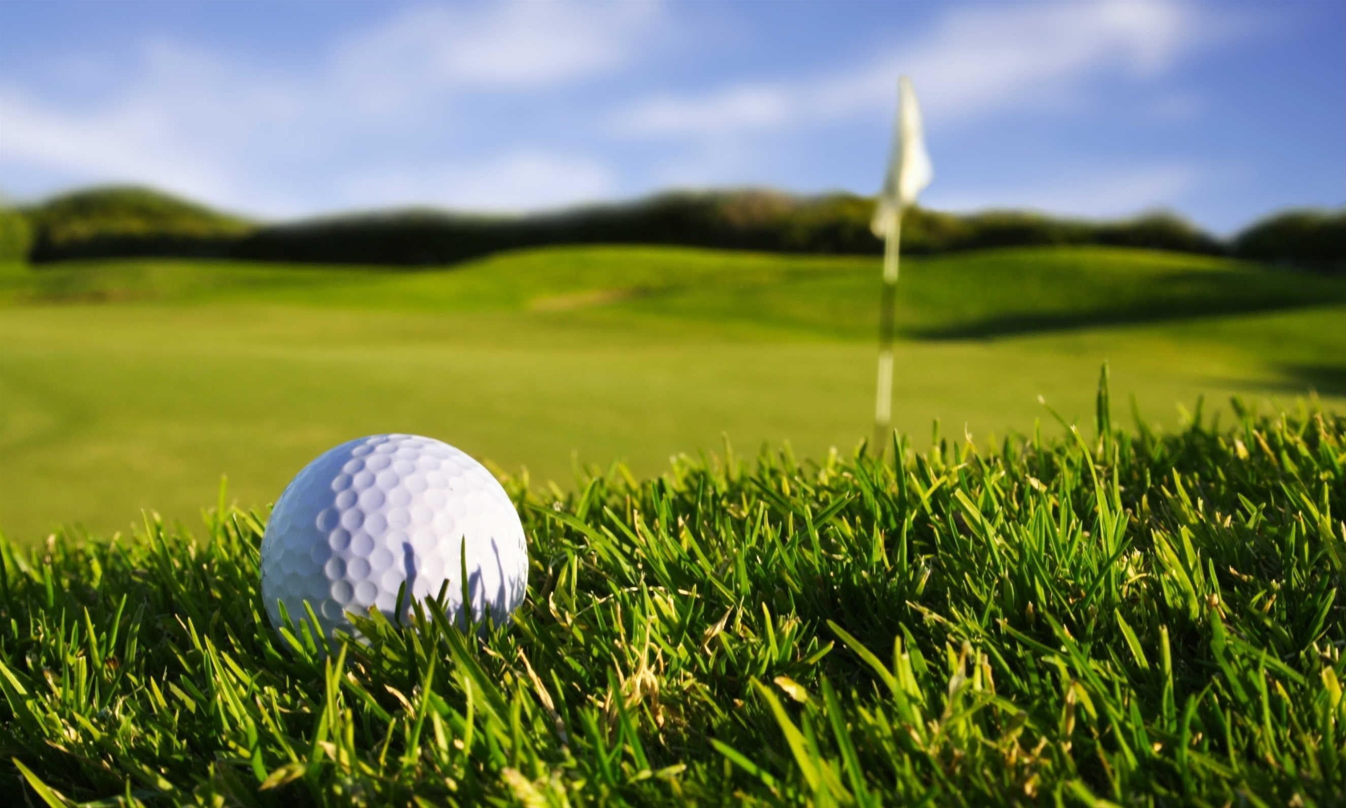 Pallina da golf sull'erba, 2650x1592 QHD, Laptop