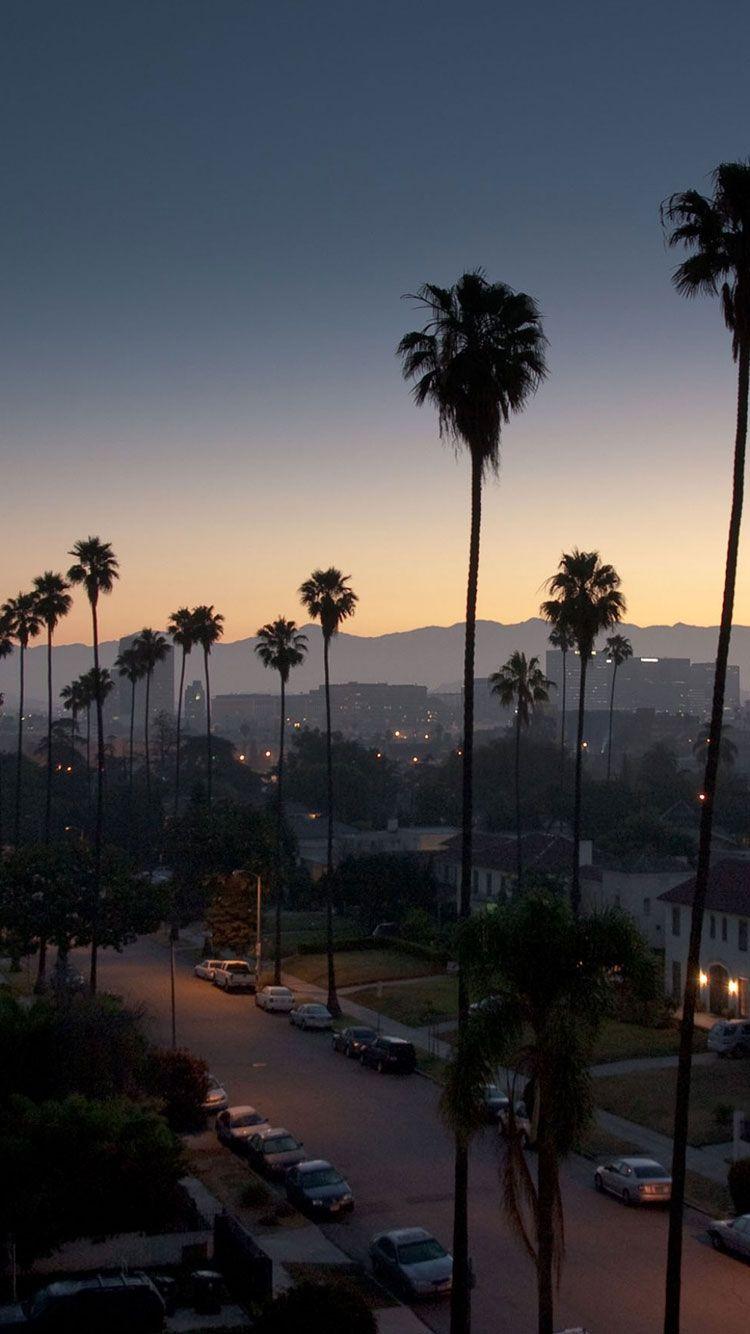 Palme al tramonto, Los Angeles, Hollywood, 750x1334 Full HD Verticale, iPhone