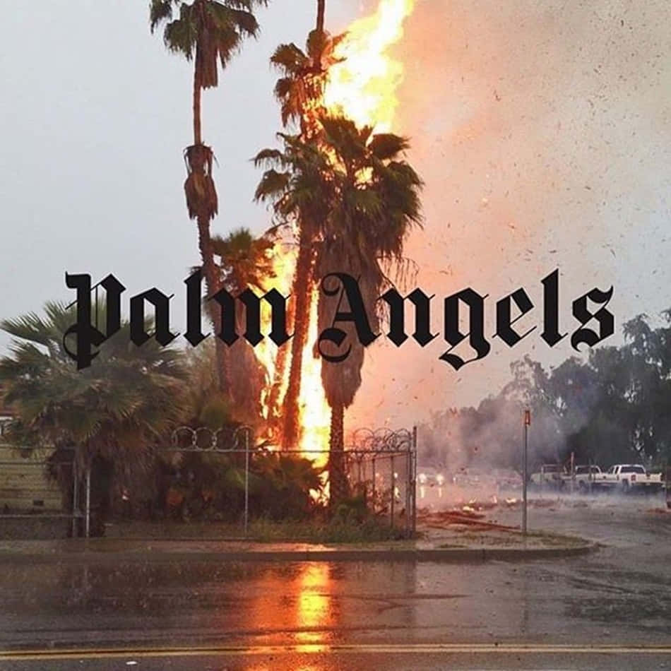 Palme in fiamme, logo Palm Angels, 950x950 HD, Desktop
