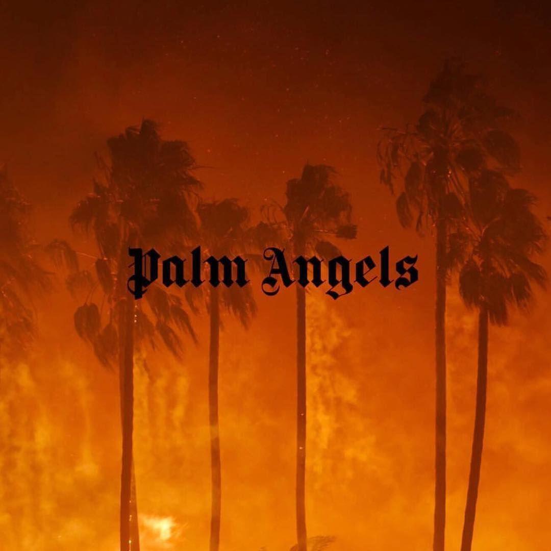 Palme silhouette logo Palm Angels, 1080x1080 HD, Laptop