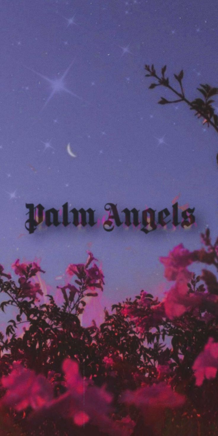 Palm Angels logo, fiori rosa notte, 736x1472 Verticale, Android