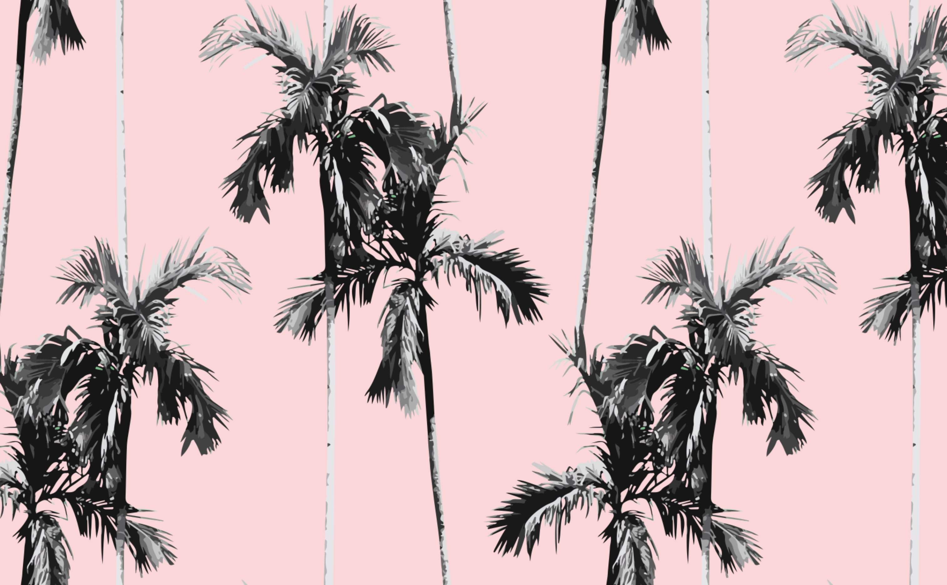Palme nere su rosa, 3028x1872 WQXGA, PC