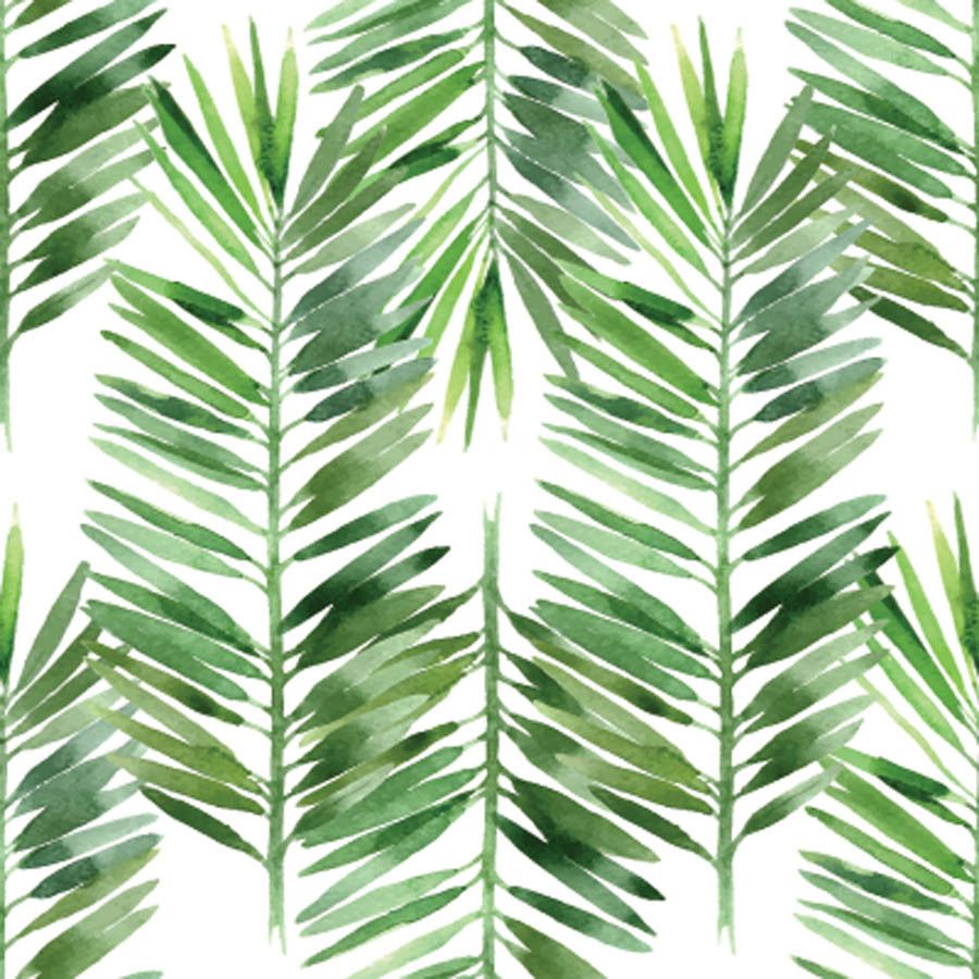 Foglie di palma acquerello verde, 900x900 HD, Desktop