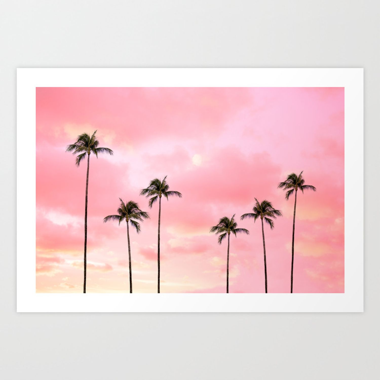 Palme al tramonto rosa, 1500x1500 HD, Desktop