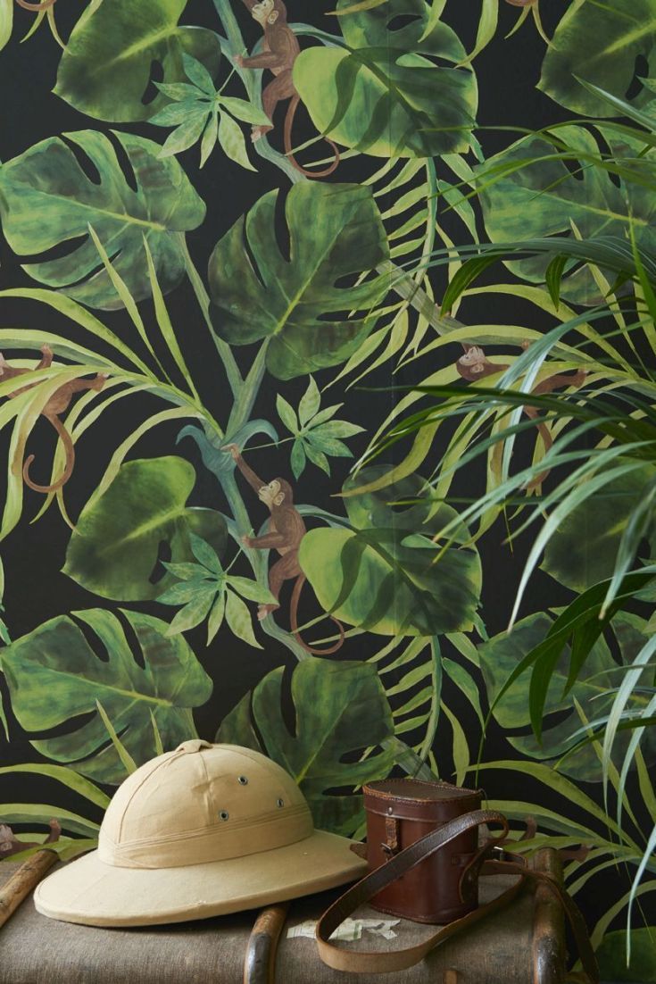Foglie palma tropicale verde, 927x927 HD, Desktop