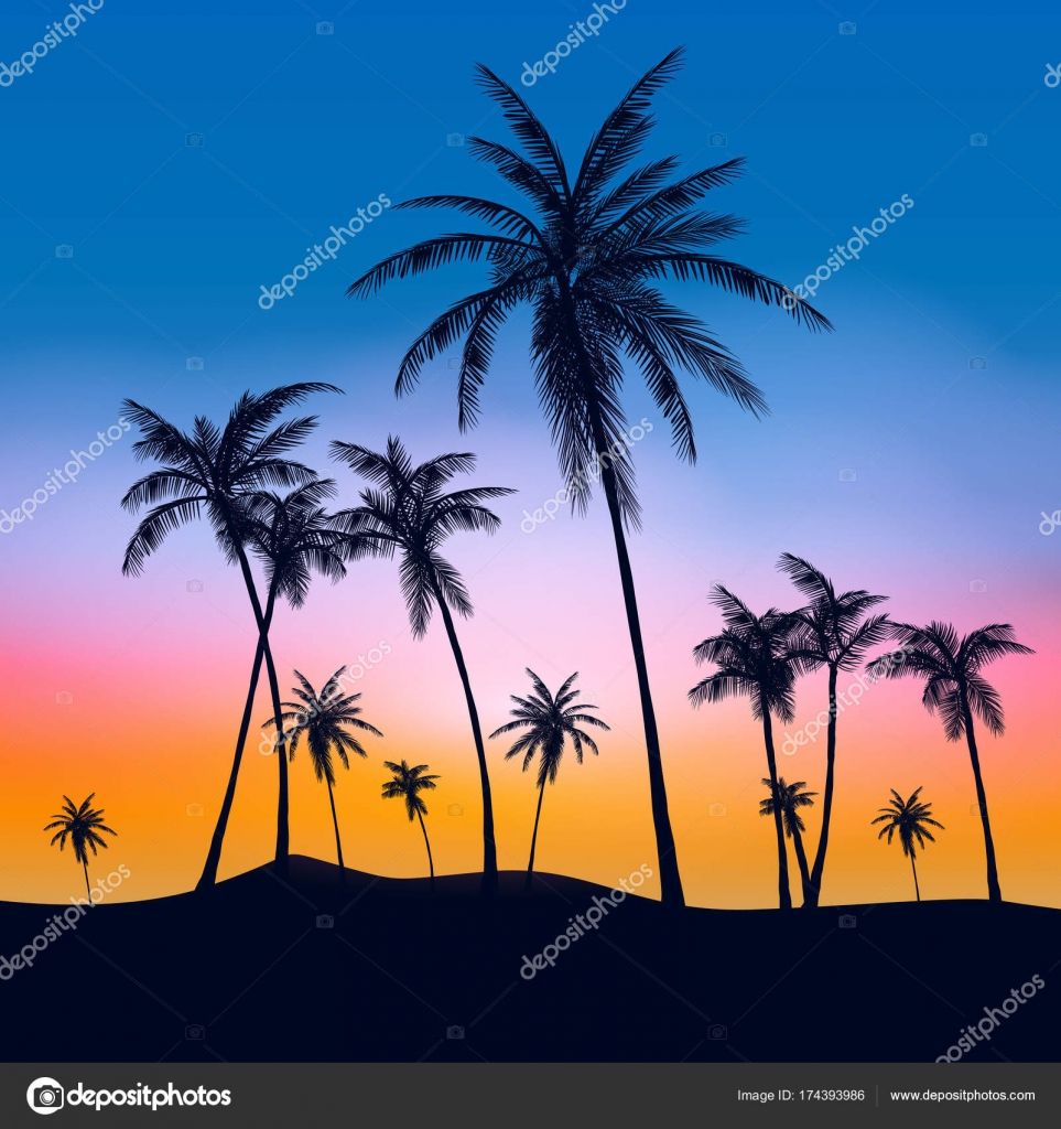 Palme silhouette al tramonto, 963x1024 Full HD Verticale, iPhone Air