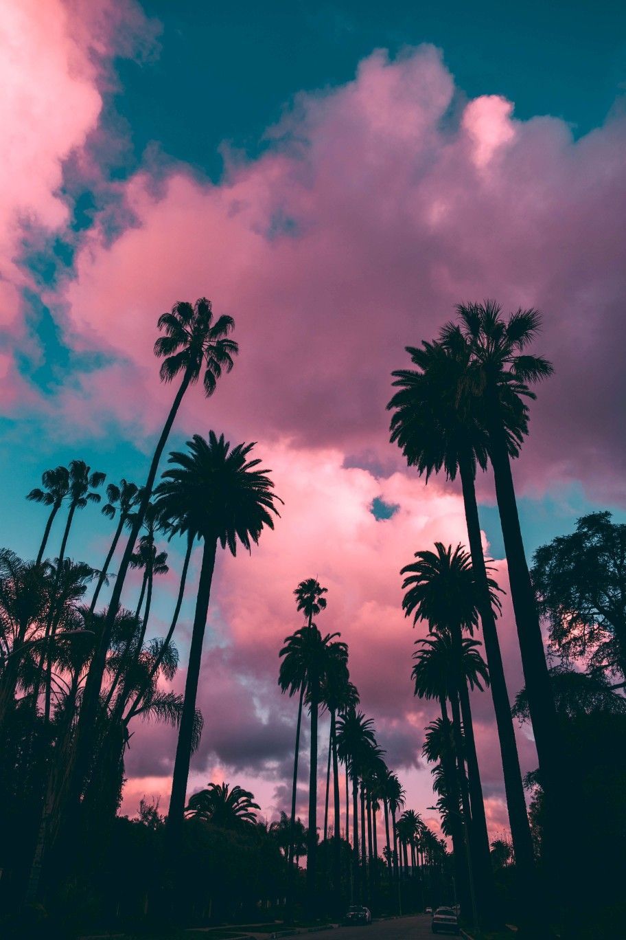 Palme al tramonto rosa, 912x1368 Full HD Verticale, iPhone