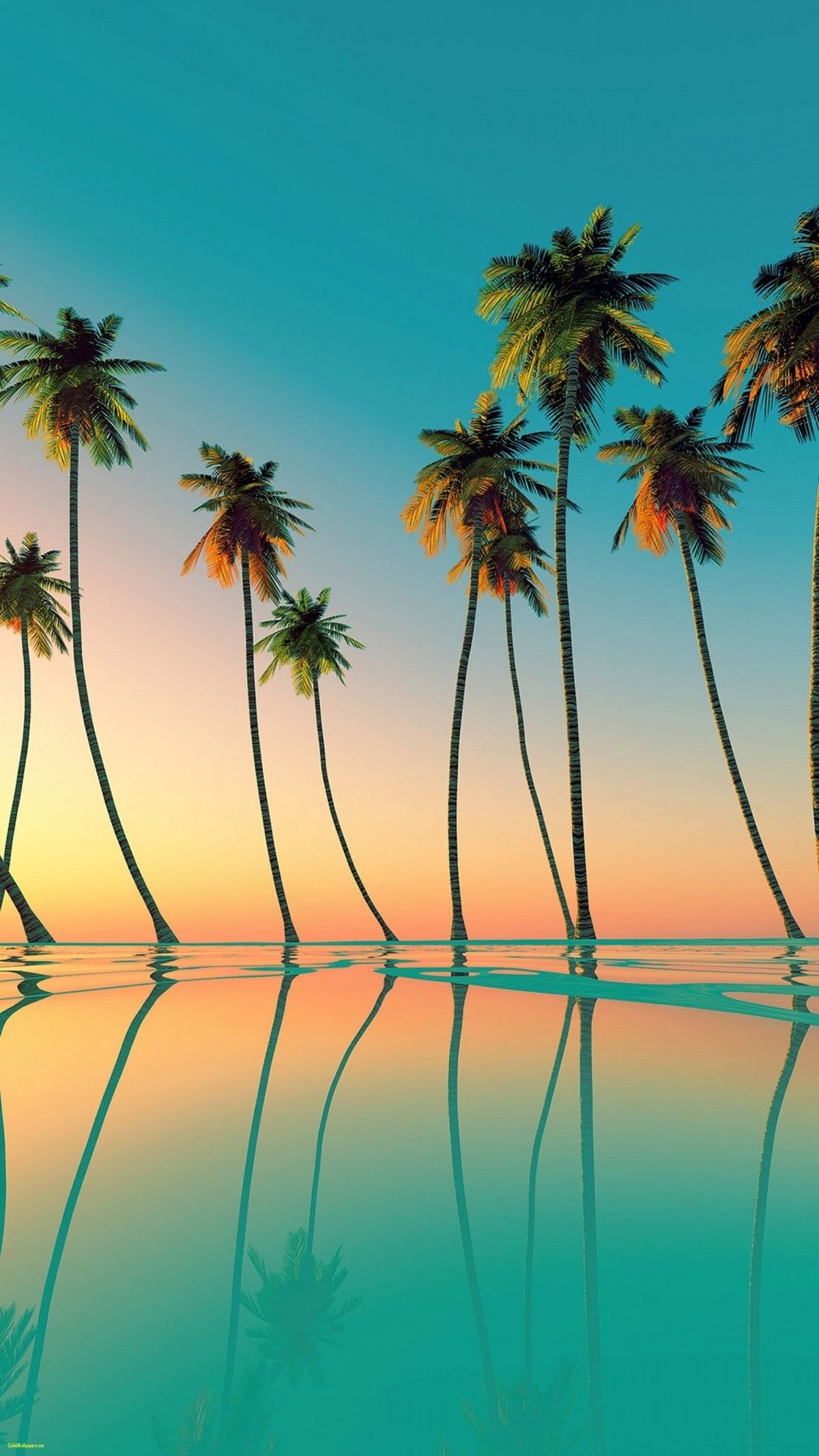 con Palme per iPhone, 1200x2133 Verticale, iPhone Pro