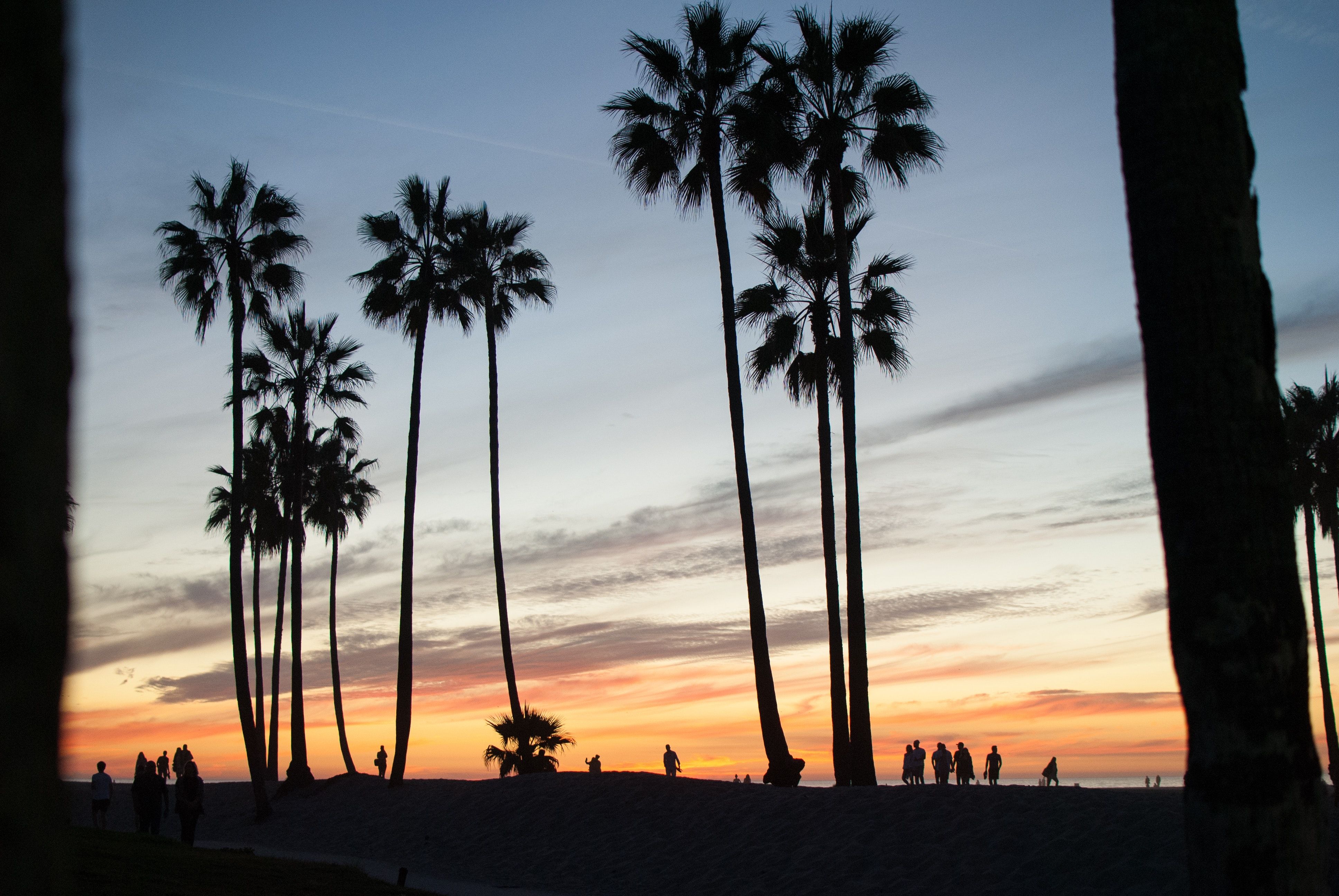 Palme al tramonto sulla spiaggia, 3872x2592 Ultra HD, 4K TV