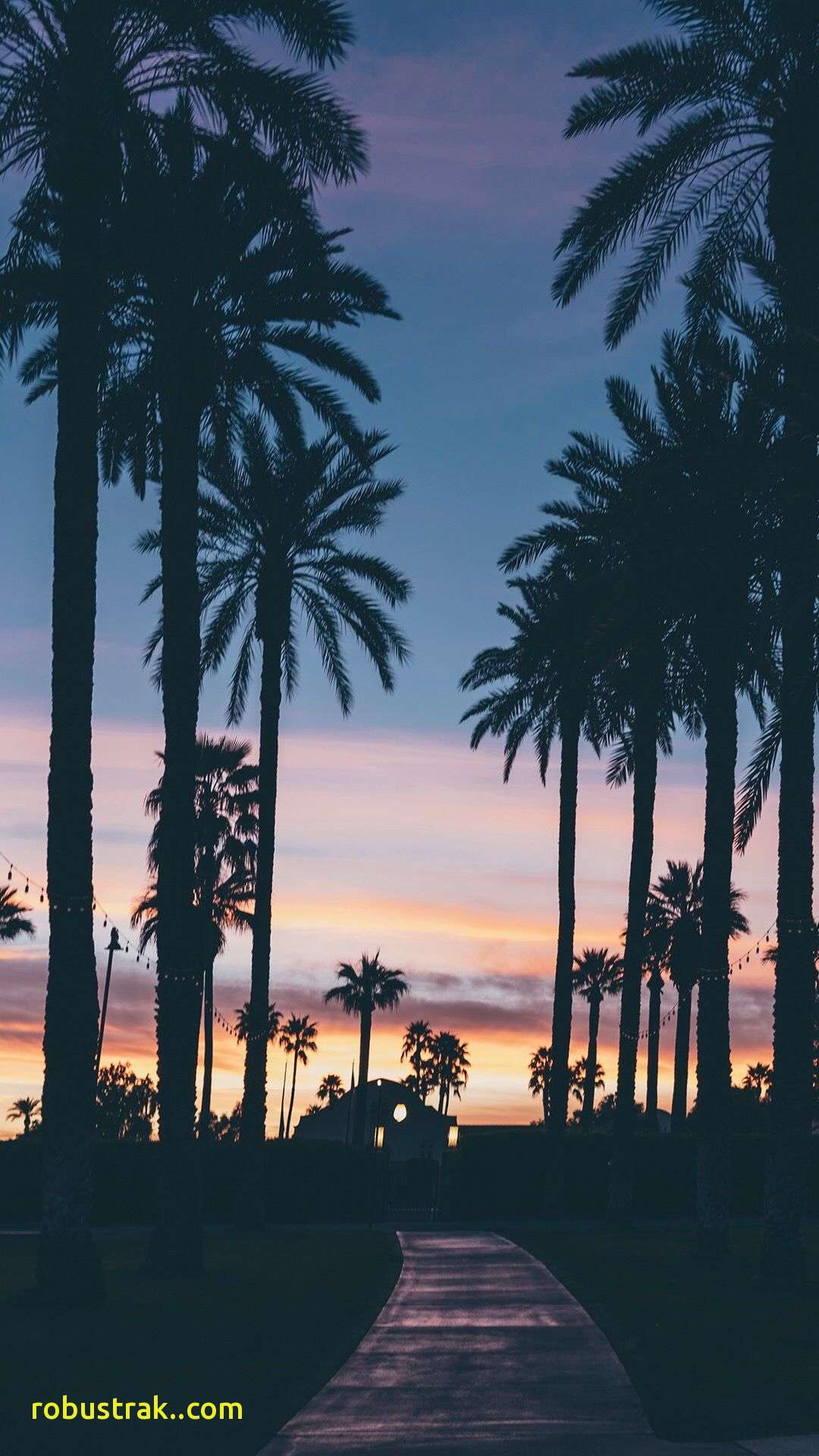 Palme al tramonto silhouette, 1080x1920 Verticale, iPhone Pro