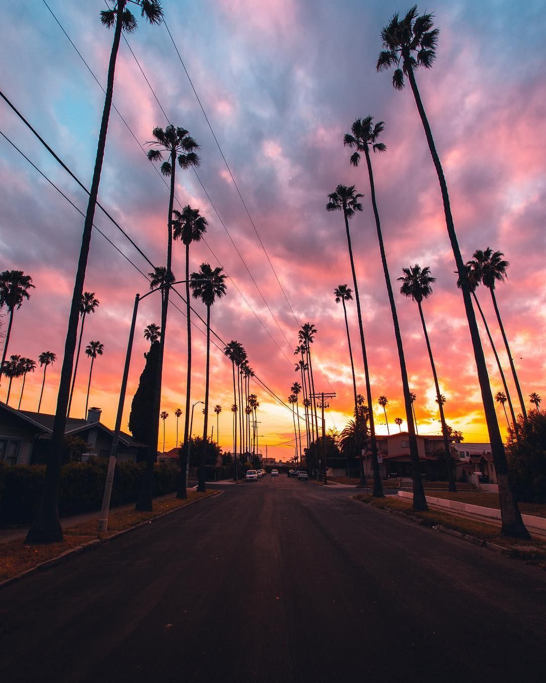 Palme al tramonto, strada California, 1080x1350 Full HD Verticale, iPhone