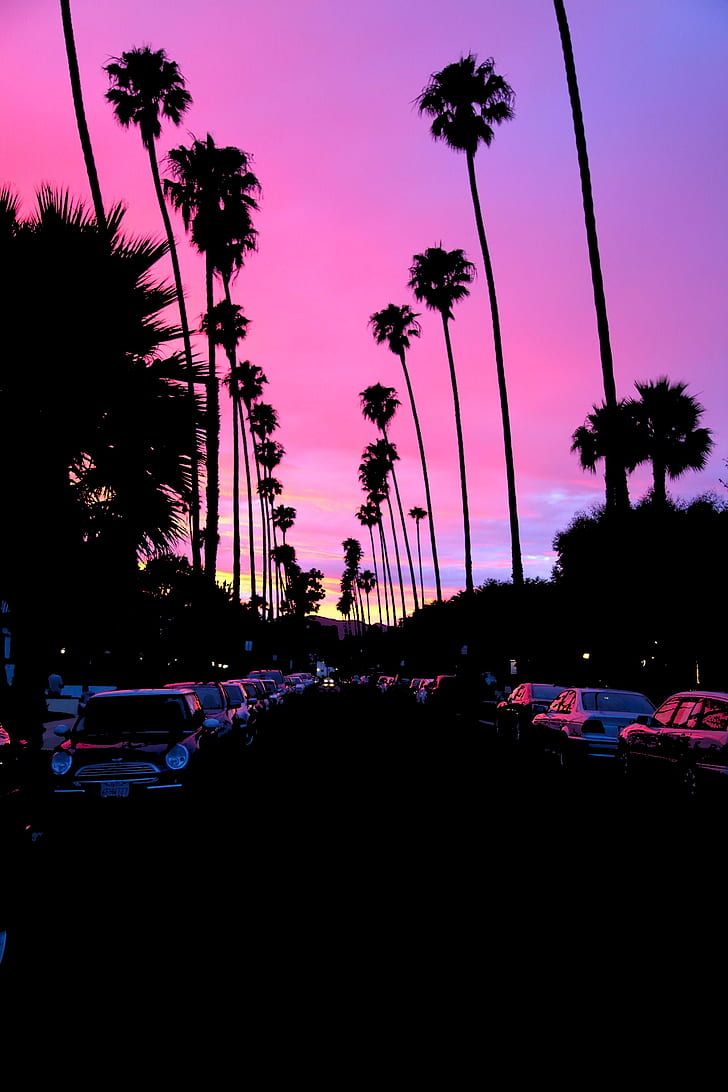 Palme al tramonto, strada California, 728x1092 Verticale, Mobile